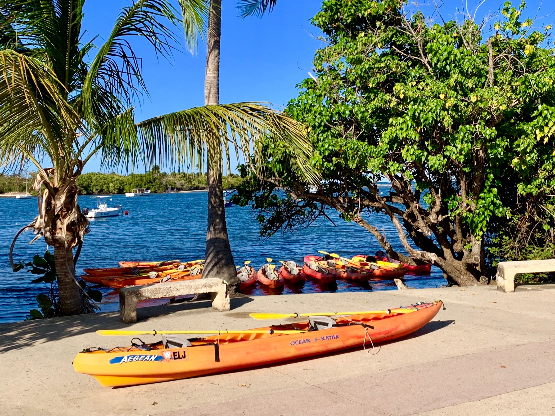 Fajardo: Bioluminescent Lagoon Kayak or Full Moon Kayak Tour – Fajardo, Puerto Rico