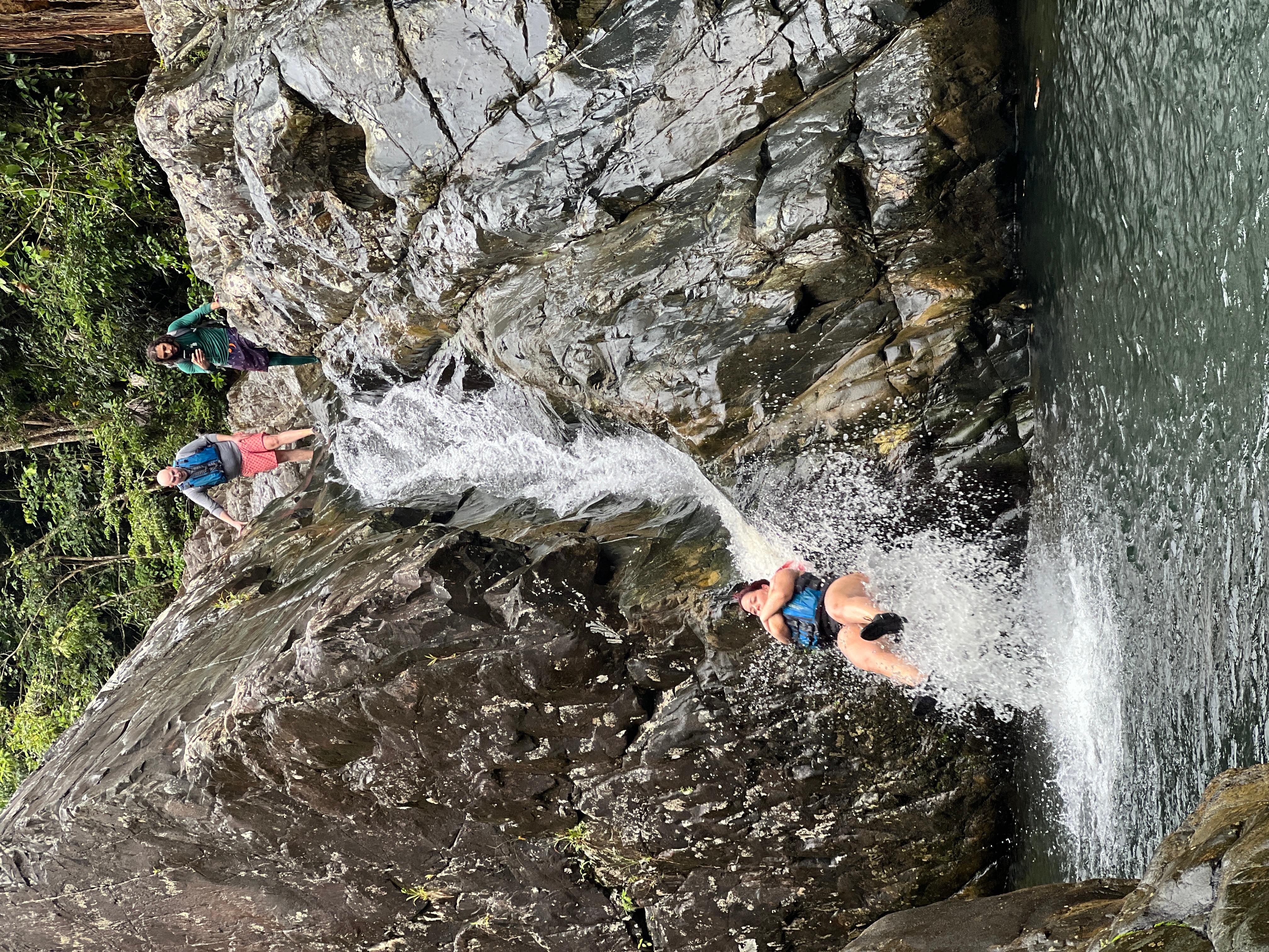 Fajardo: El Yunque Forest Guided Adventure – Río Grande, Puerto Rico, Puerto Rico