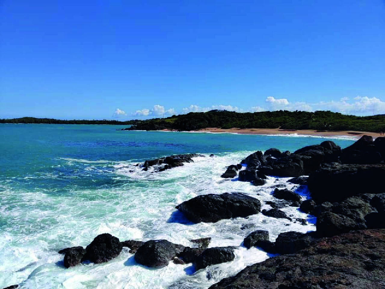 Fajardo: Hidden Beach and Mangrove Tour – Fajardo, Puerto Rico