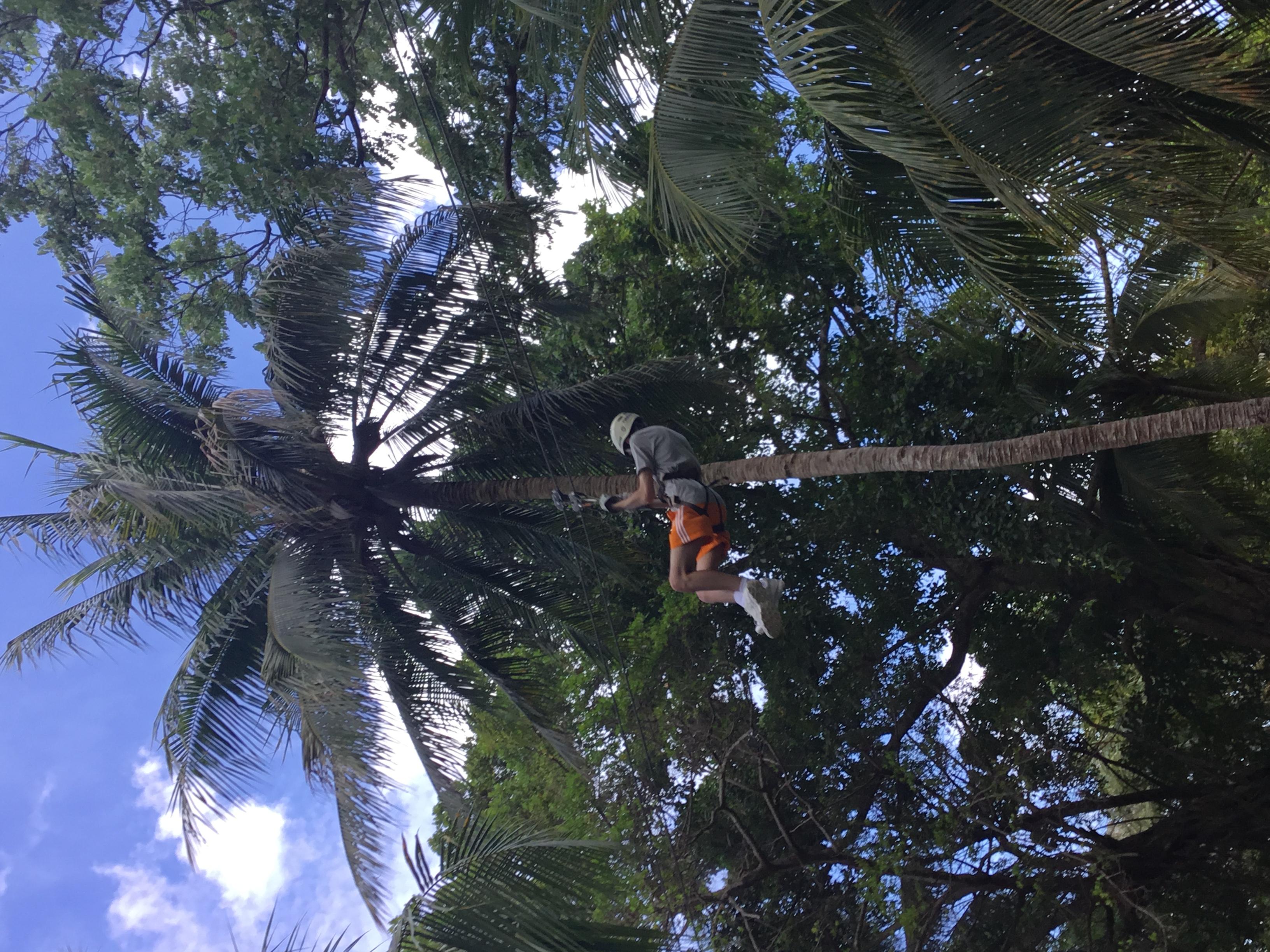 Falmouth: Dunn’s River Falls, Blue Hole, and Zipline Tour – Dunns River Falls & Park, Jamaica