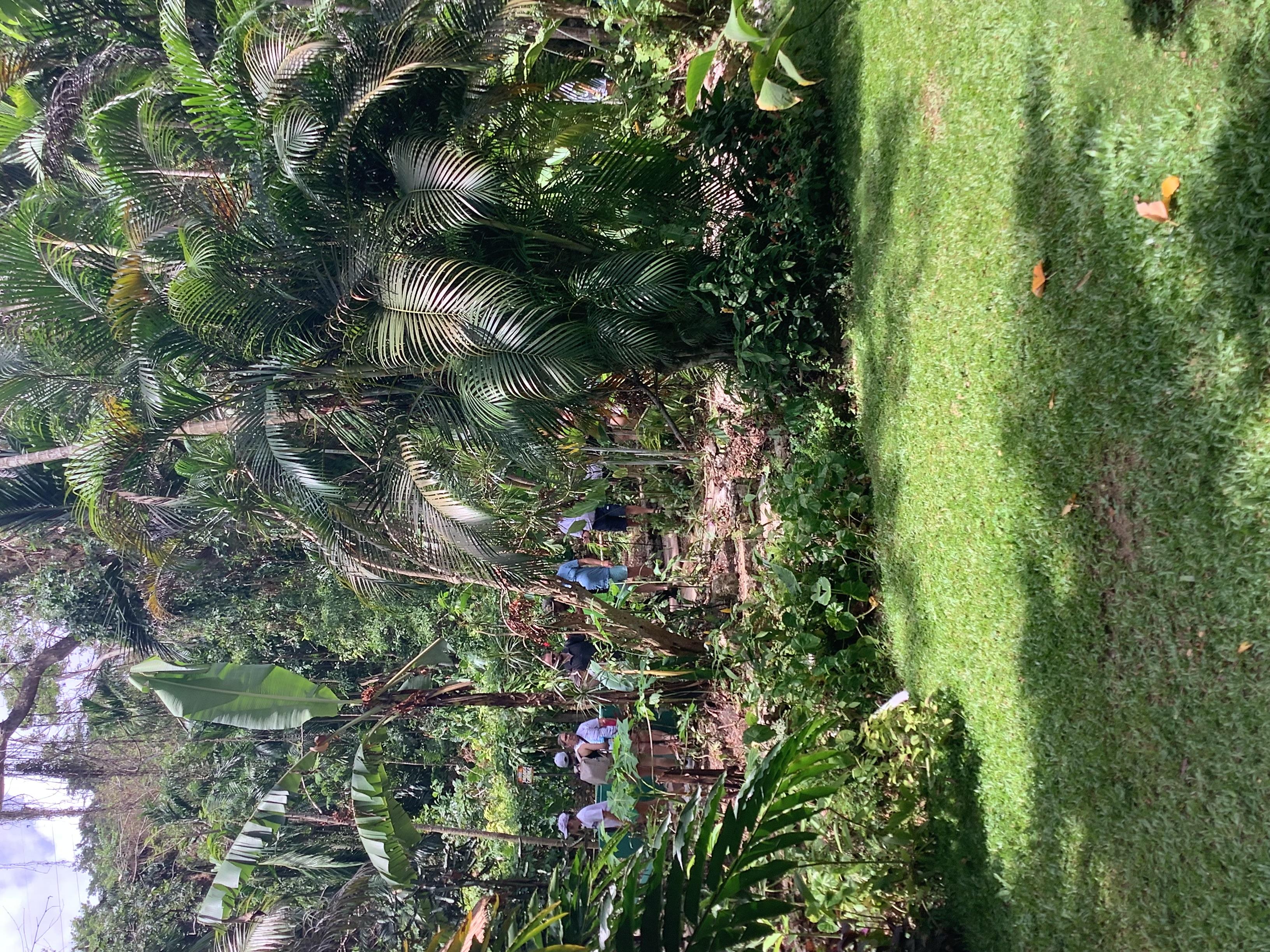 Falmouth: Konoko Falls and White River Tubing Day Tour – Ocho Rios, Jamaica