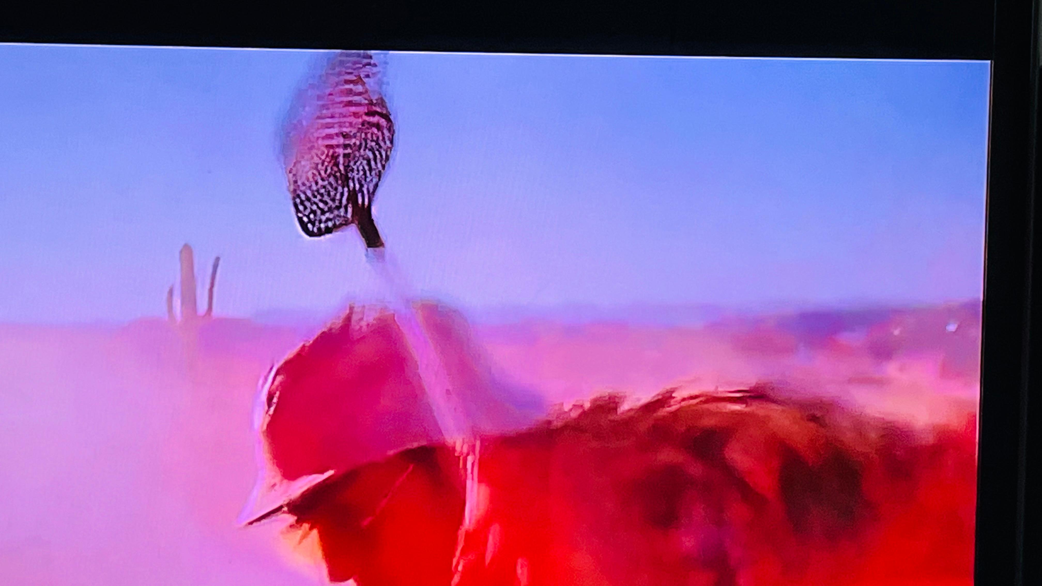 Fear And Loathing Experience! – Las Vegas, Nevada