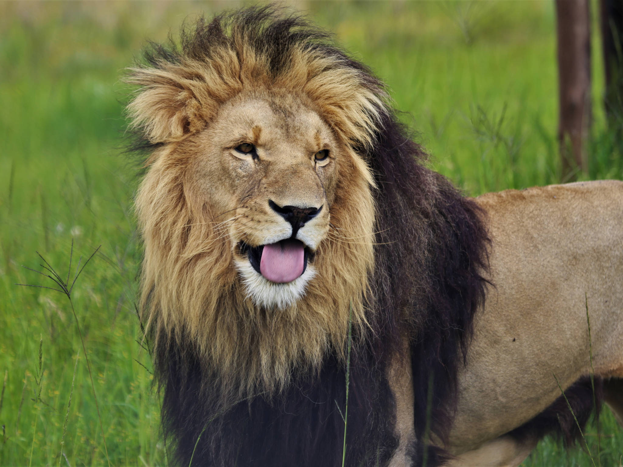 Feeding Tour – Free State, South Africa