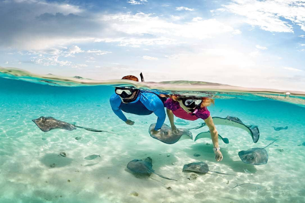 Flamingo & Tamarindo : Snorkeling at Las Catalinas Islands – Tamarindo, Costa Rica