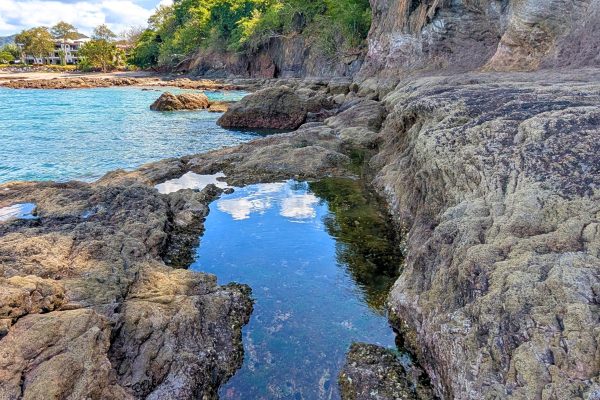 Flamingo/Danta: Intertidal Exploration Plus Snorkeling – Santa Cruz, Costa Rica