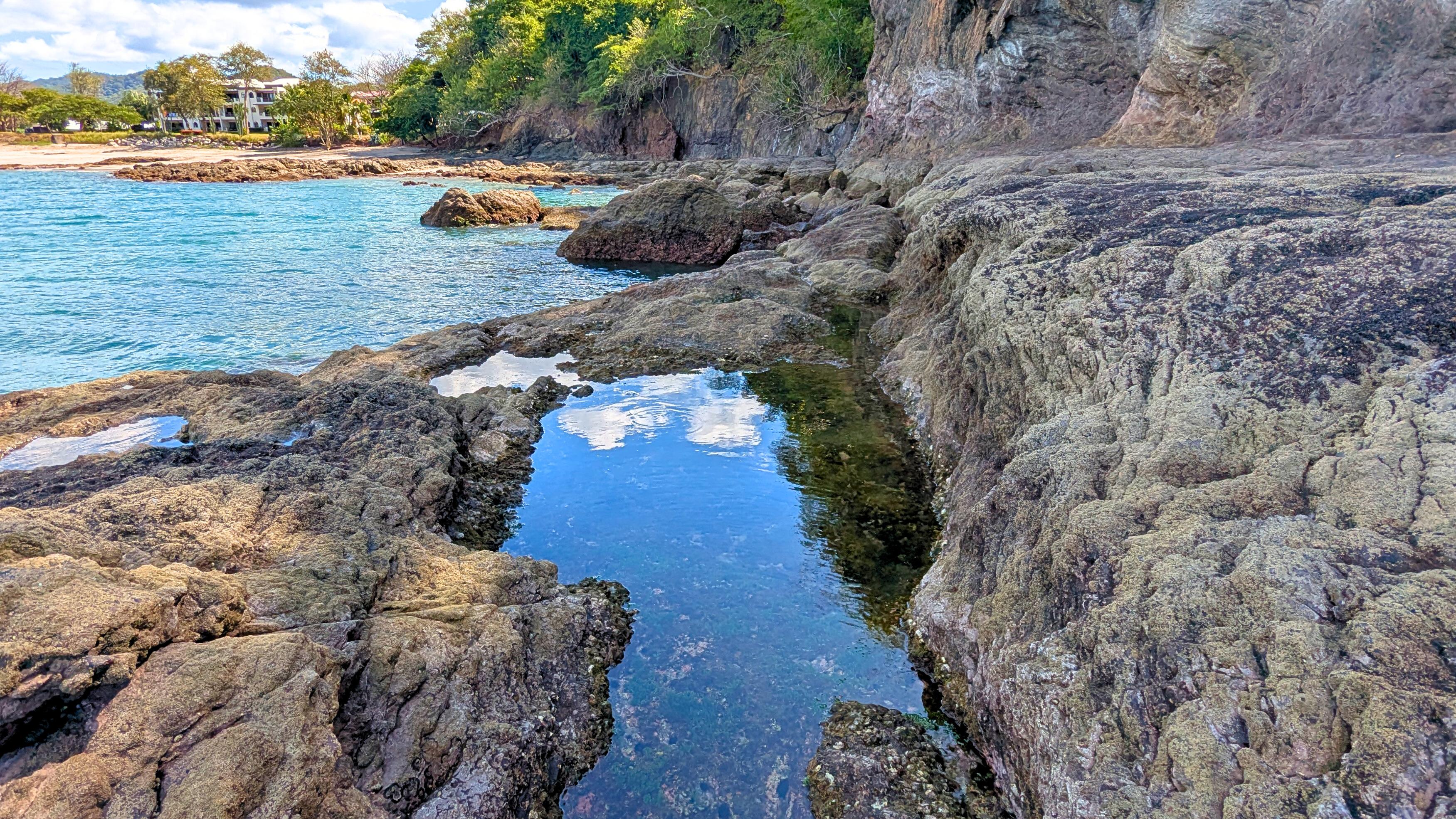 Flamingo/Danta: Intertidal Exploration Plus Snorkeling – Santa Cruz, Costa Rica