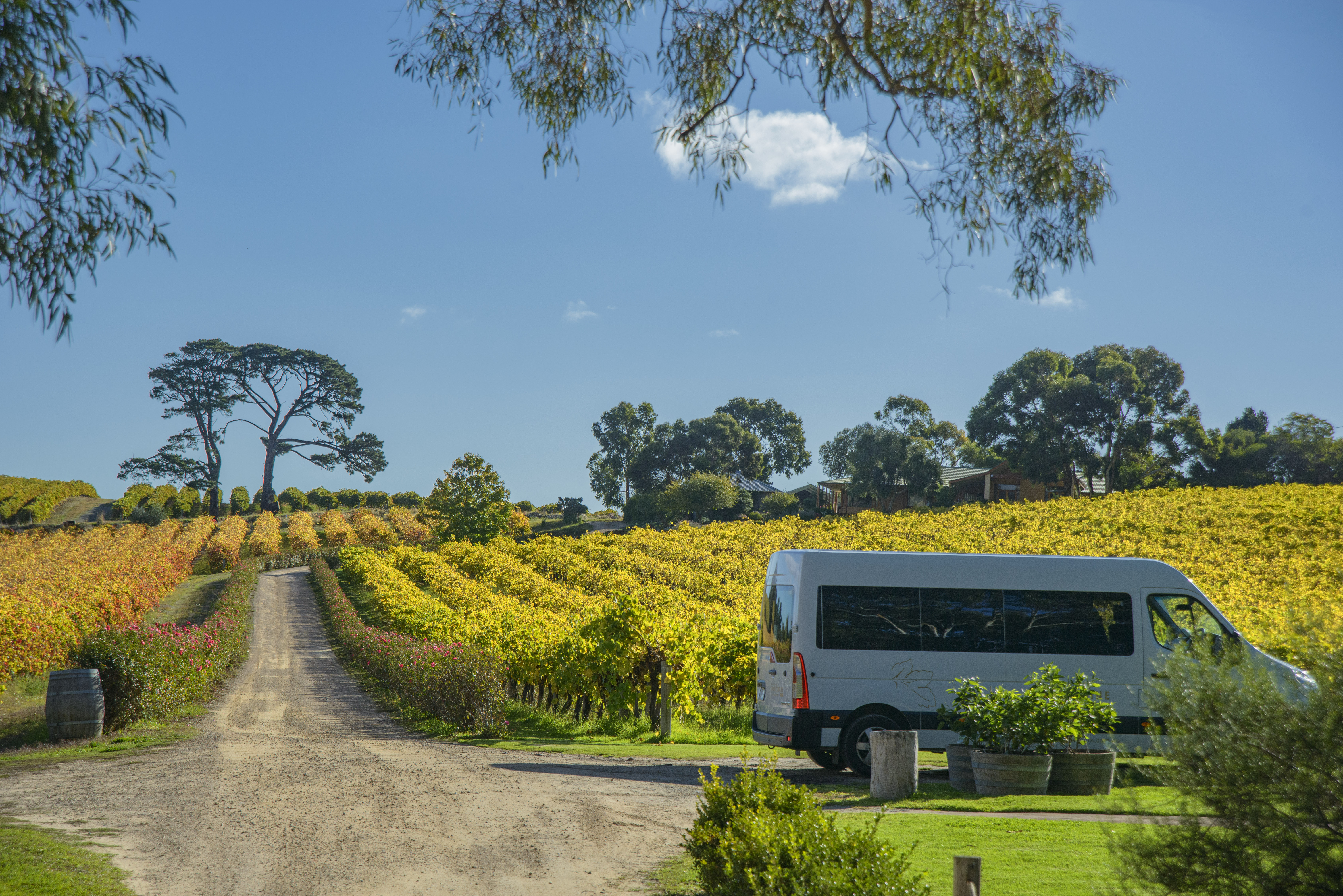 Fleurieu Peninsular: McLaren Vale Winery Experience – McLaren Vale, Australia