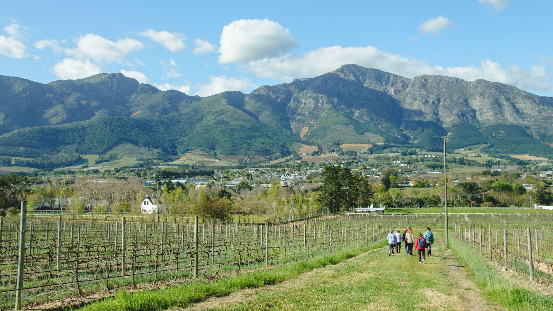 Franschhoek: An enchanting storytelling walk to 3 wine farms – Franschhoek, South Africa
