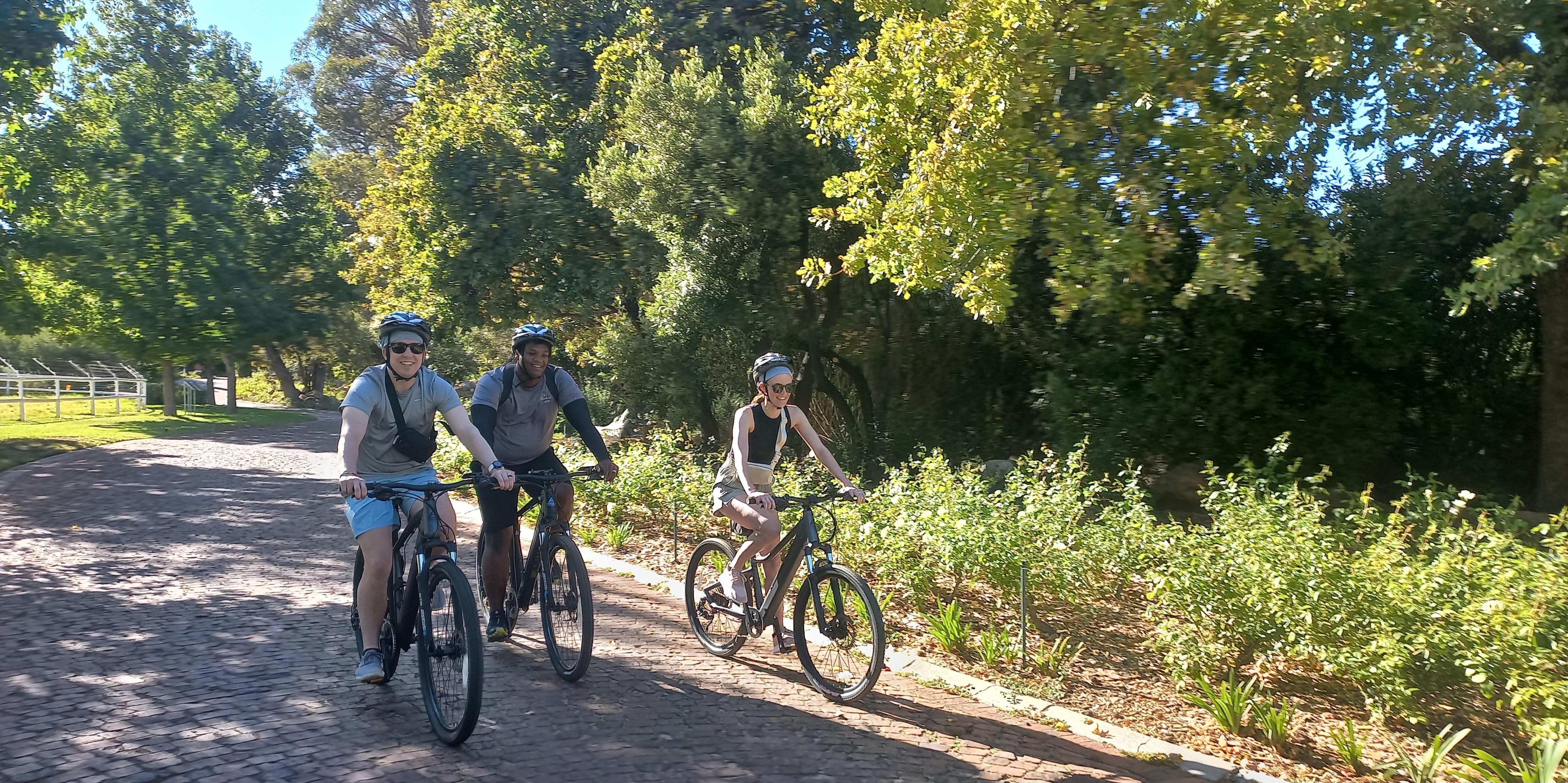 Franschhoek E-Bike & Wine Tour – Franschhoek, South Africa