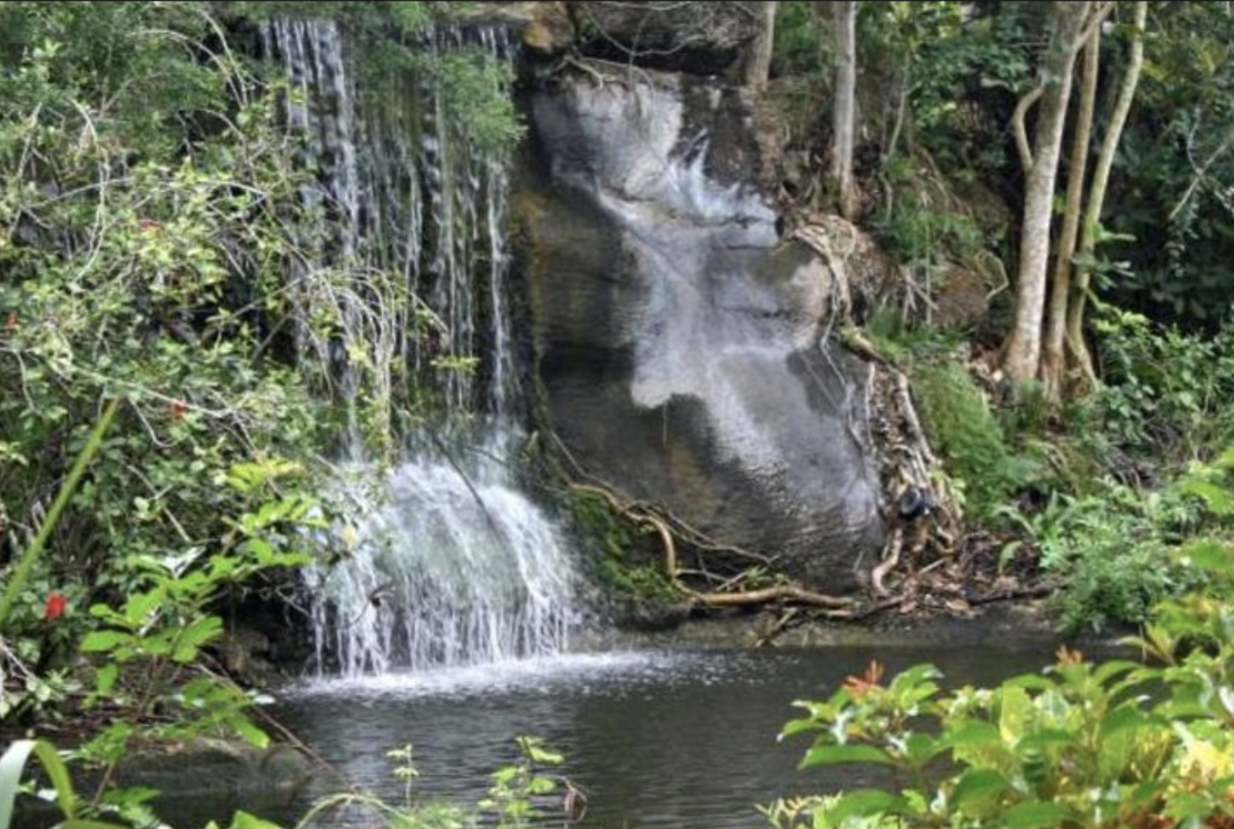 Freeport Shore Excursion: Garden of the Groves and City Tour – Freeport, Bahamas