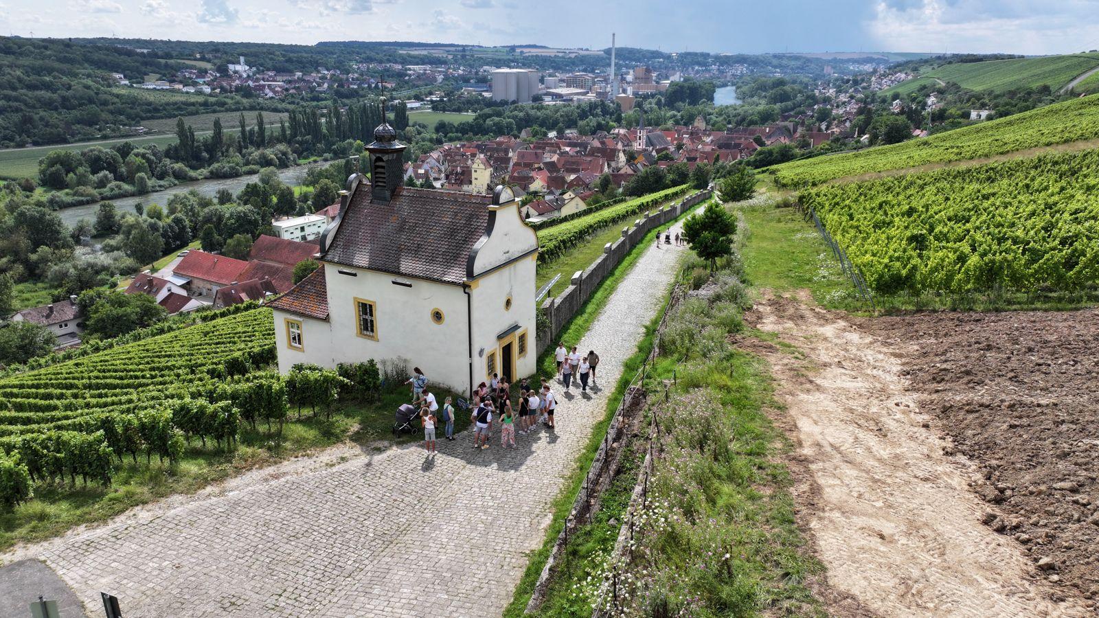 Frickenhausen am Main: Wine walk with a wine expert – Frickenhausen am Main, Germany