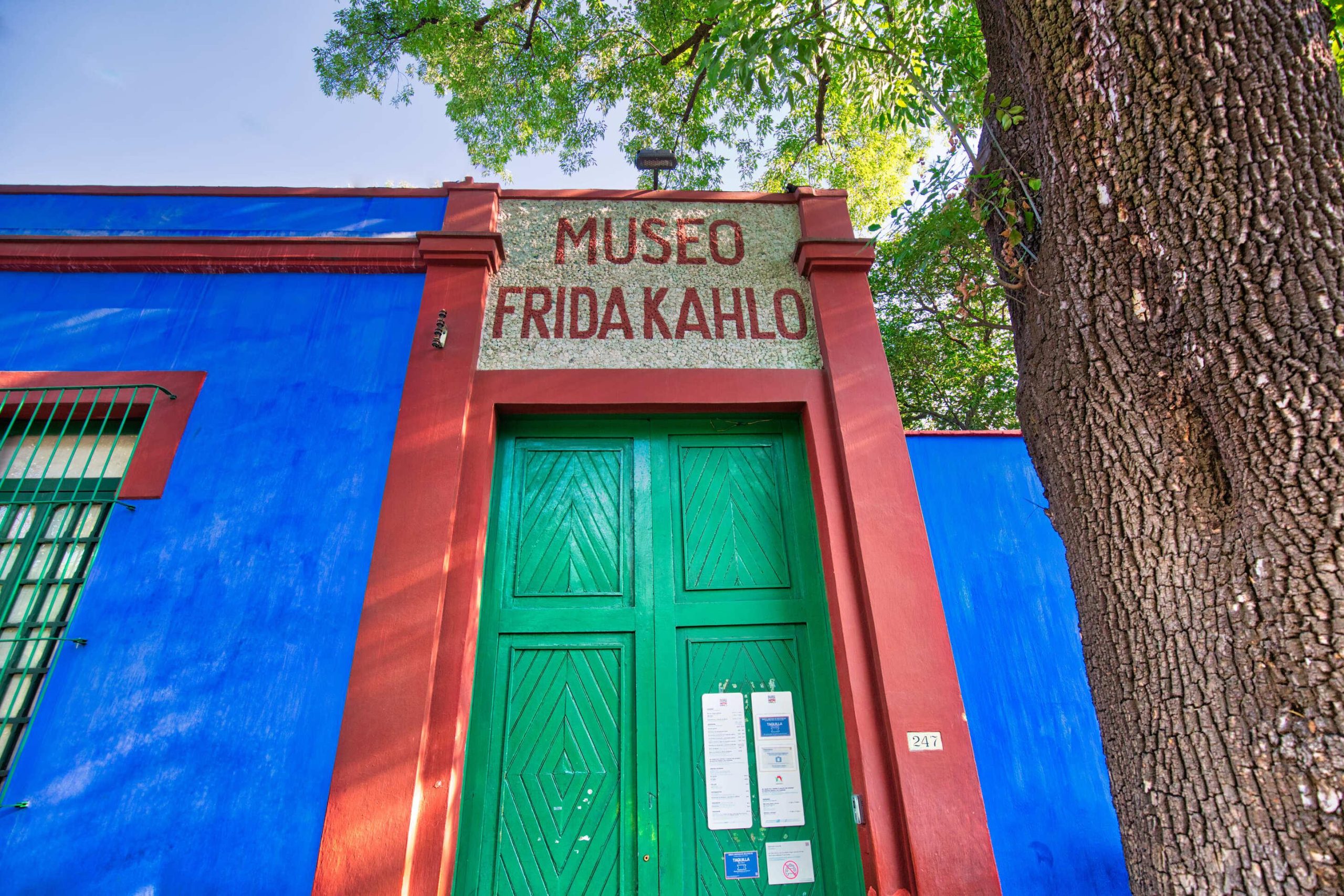 Frida Kahlo Museum Entrance Ticket + Digital Guide Booklet – Mexico City, Mexico