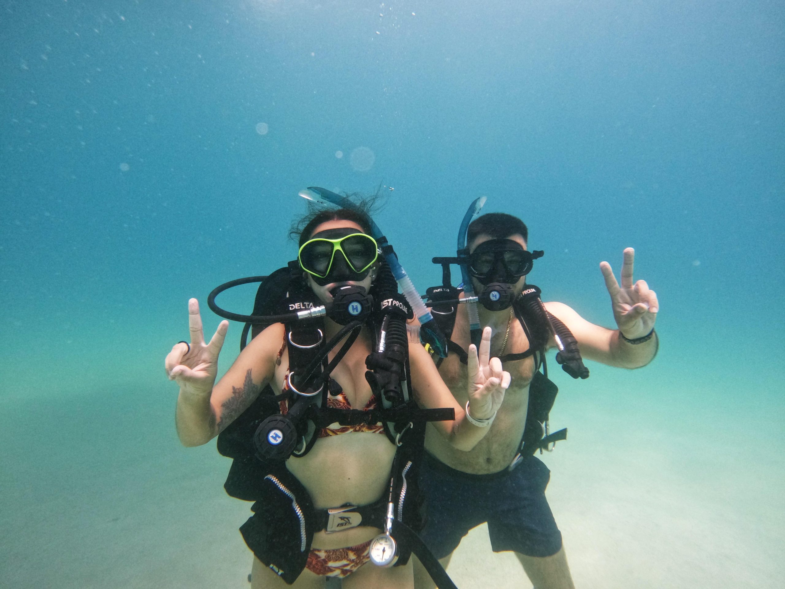 From Abu Dhabi: Scuba Dive and Snorkeling with BBQ, Transfer – Reef Oasis Dive Club, United Arab Emirates
