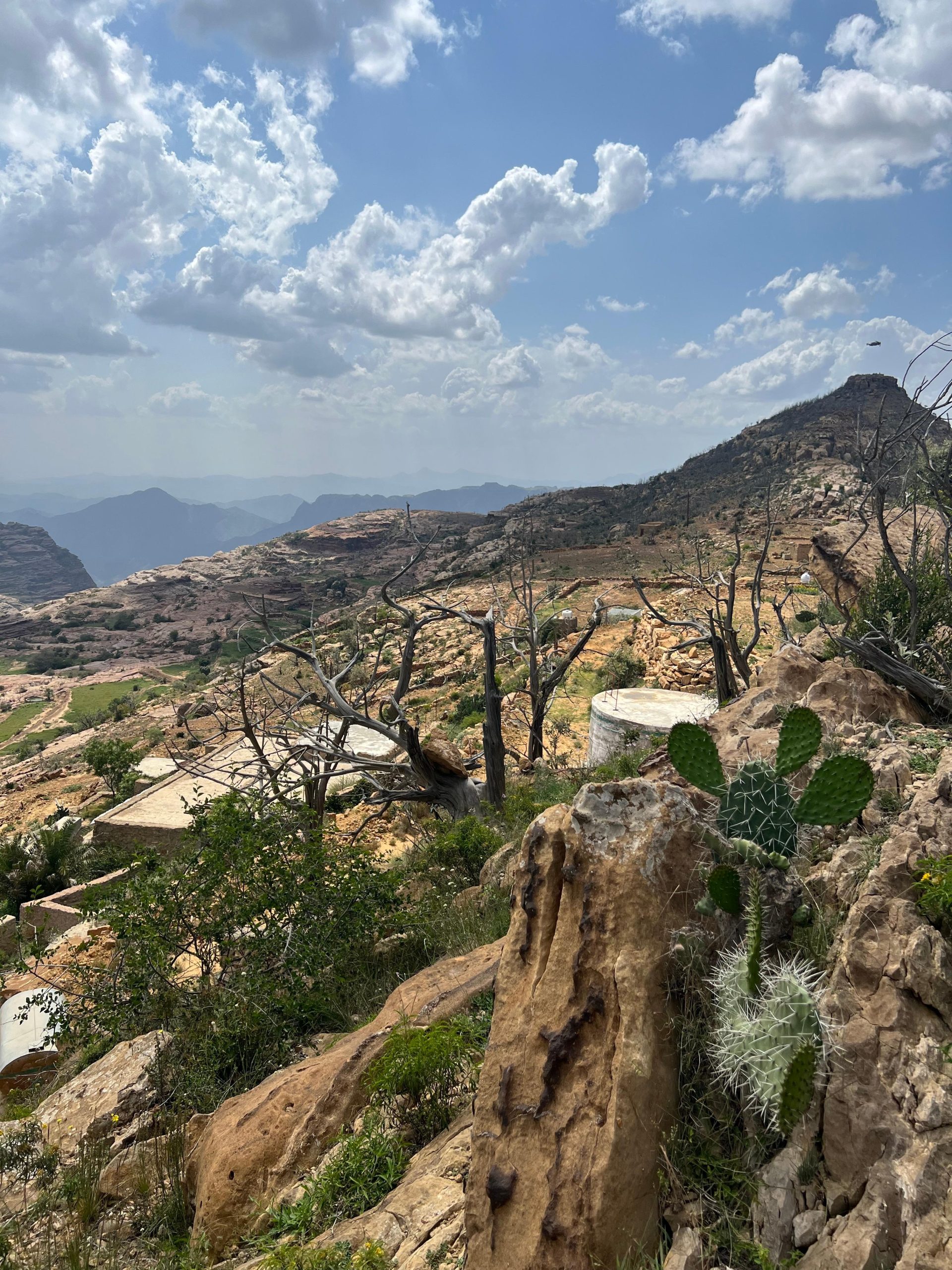 From Alreeth: Black Mountain & Coffee Plantation Tour – Saudi Arabia