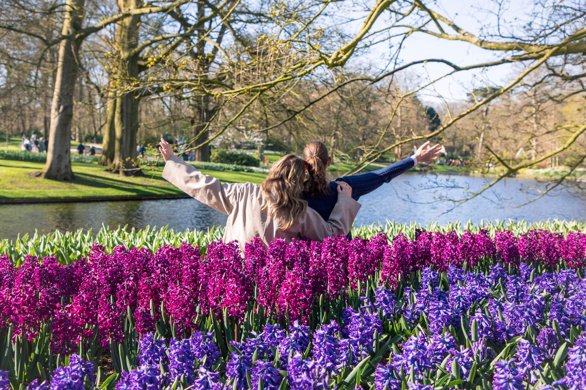 From Amsterdam: Keukenhof Entry with Shuttlebus Transfer – Lisse, Netherlands