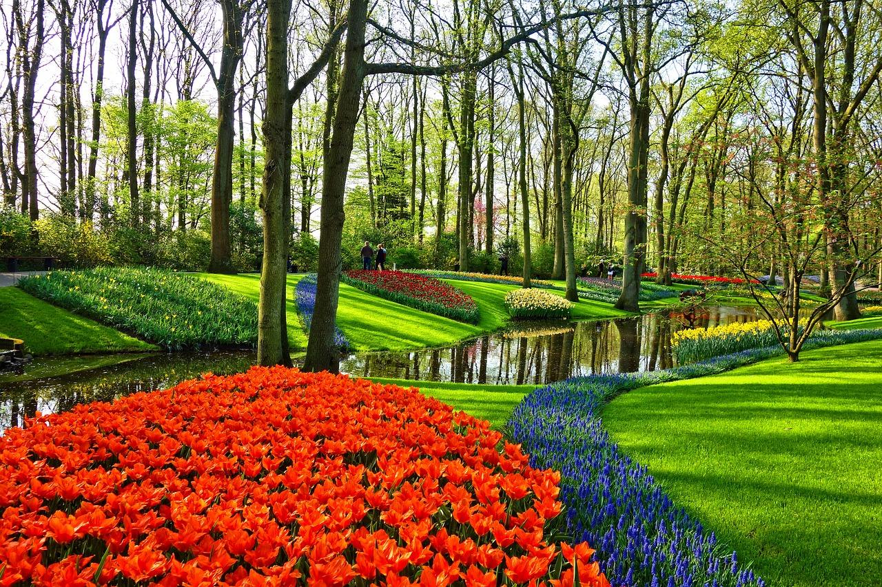 From Amsterdam: Keukenhof Gardens and Giethoorn Tour – Noordwijkerhout, Netherlands