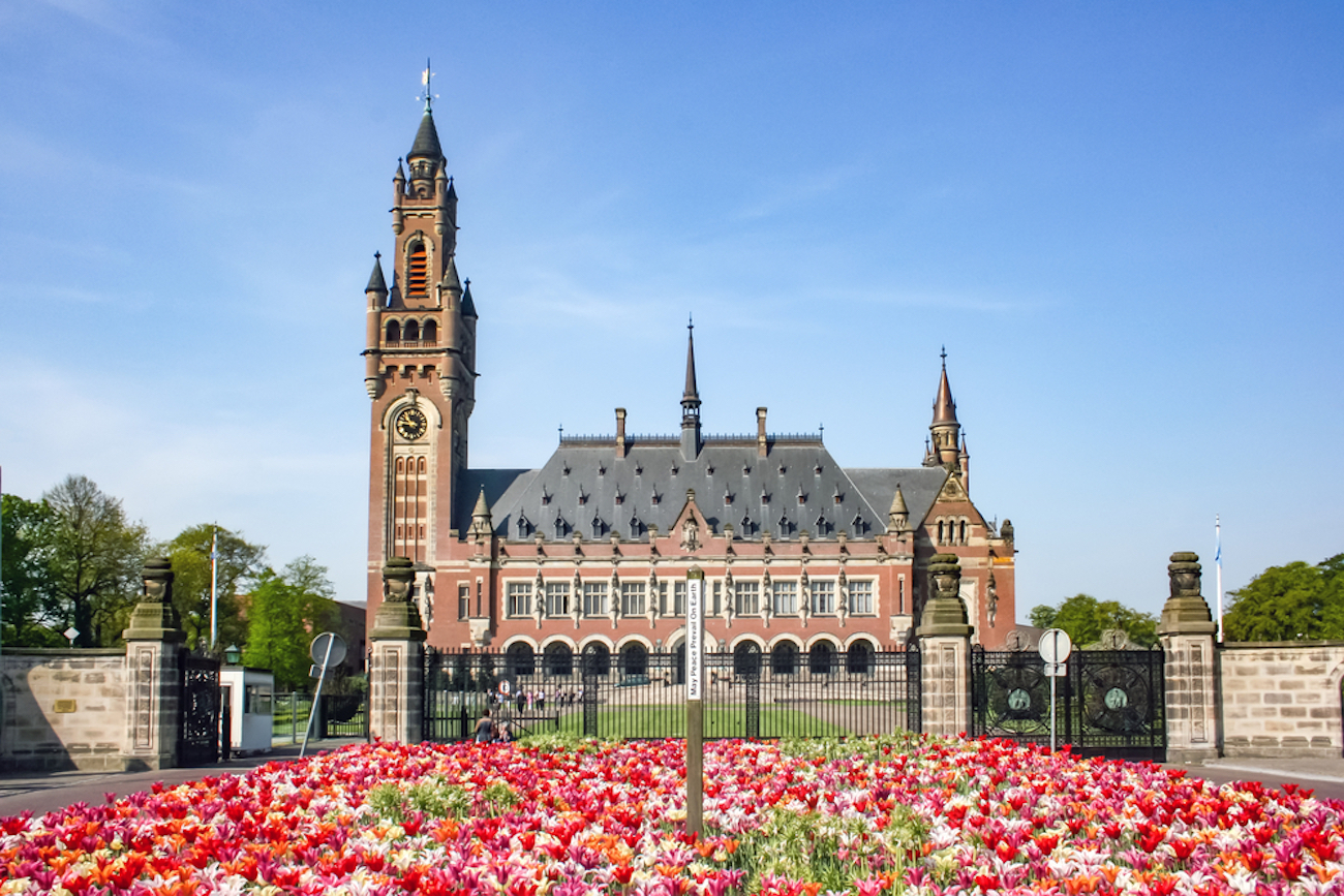 From Amsterdam: Rotterdam, The Hague & Delft Private Tour – Rotterdam, Netherlands