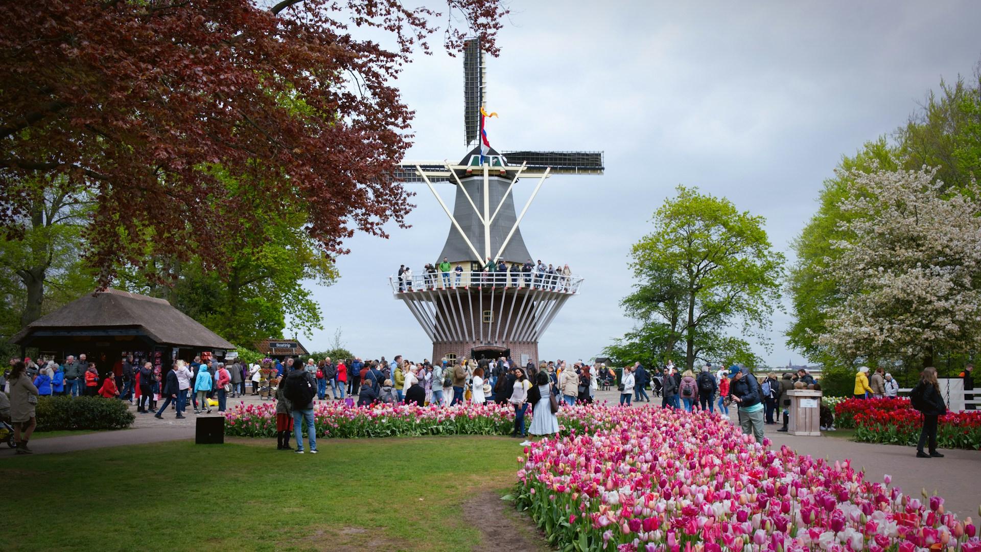 From Amsterdam: VIP Keukenhof Tulip Tour with Private Driver – Lisse, Netherlands