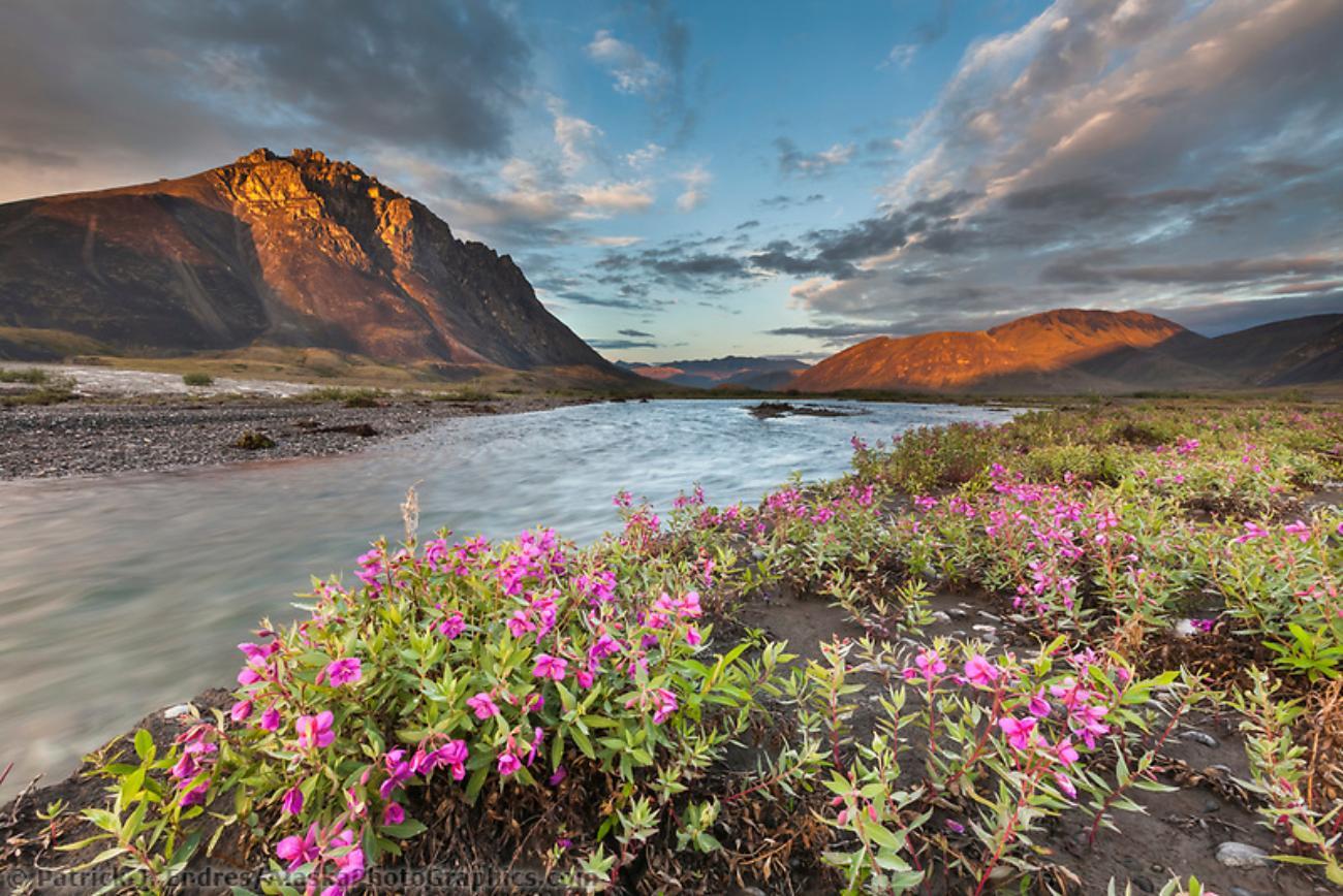 From Anchorage: 6-Day Best of Grand Alaska Highlights Tour – Anchorage, Alaska