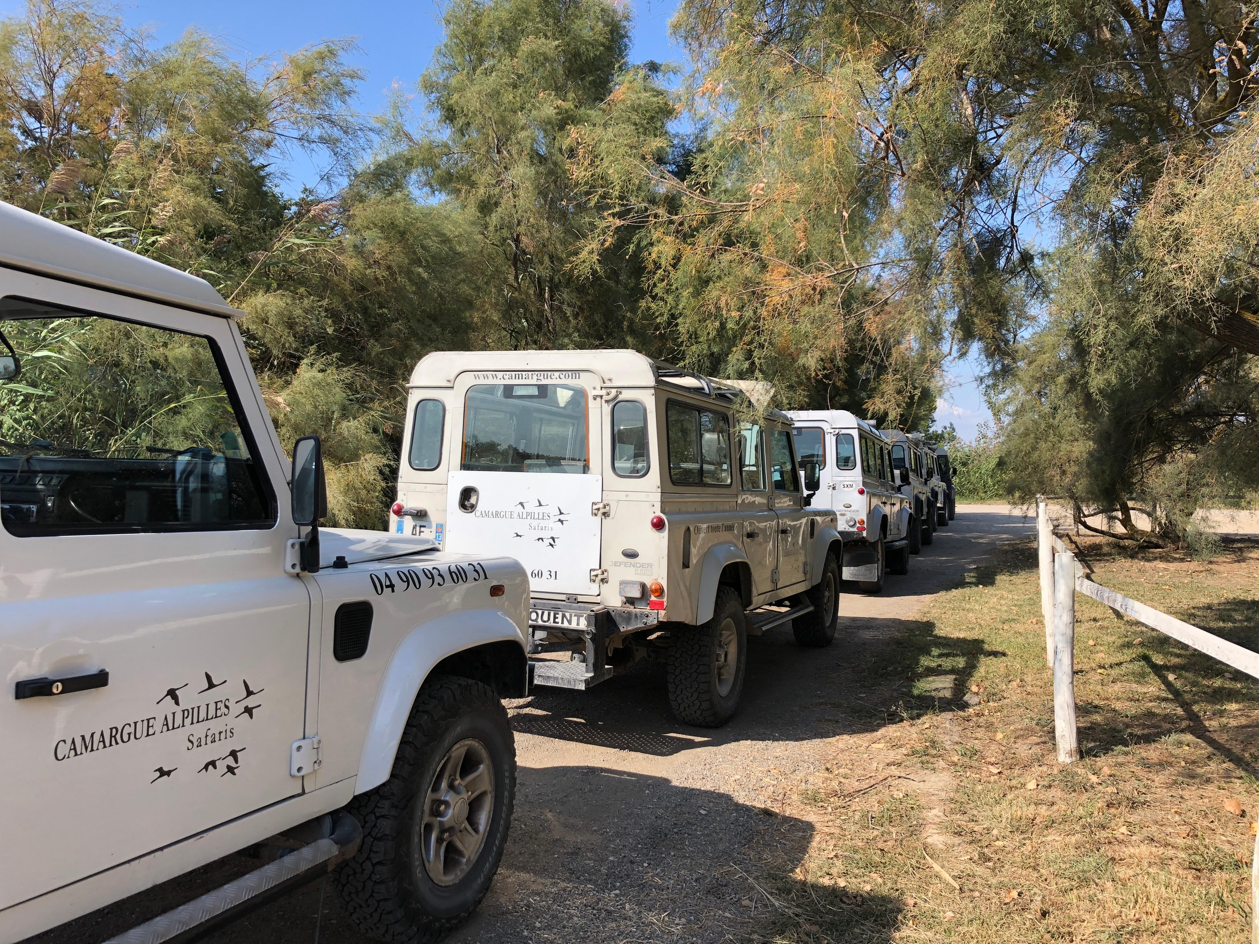From Arles: Half-Day 4×4 Camargue Safari – Arles, France