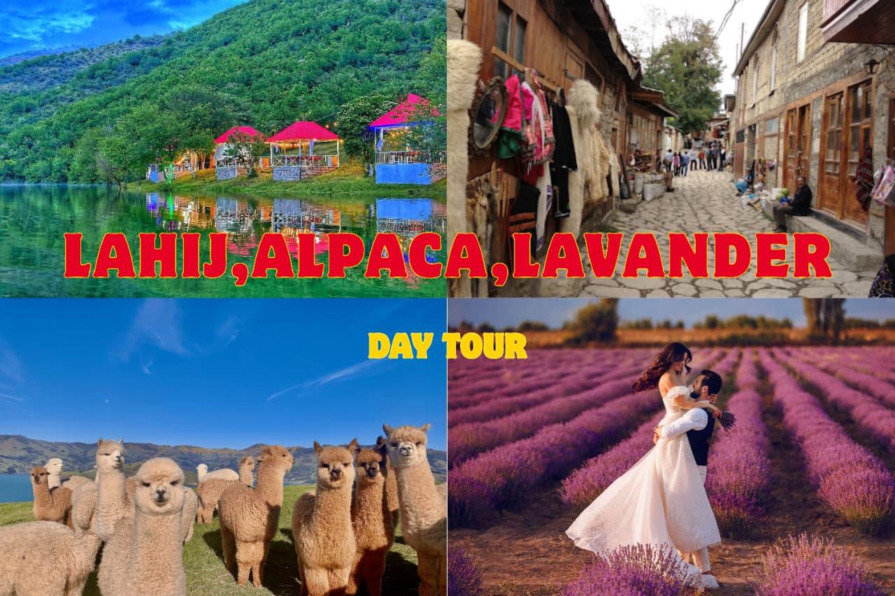 From Baku: Shamakhi, Lahij, Lavender Gardens & Alpaca Farm – Azerbaijan