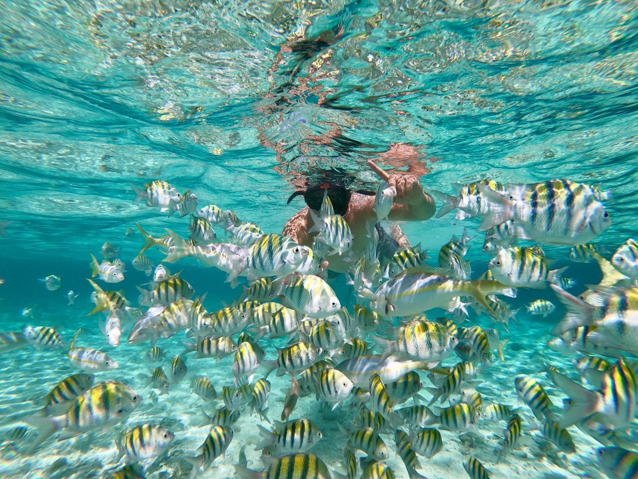 From Bavaro, Punta Cana: Boat Party, Snorkeling, Drinks, Snacks, and Transportation – Punta Cana, Dominican Republic