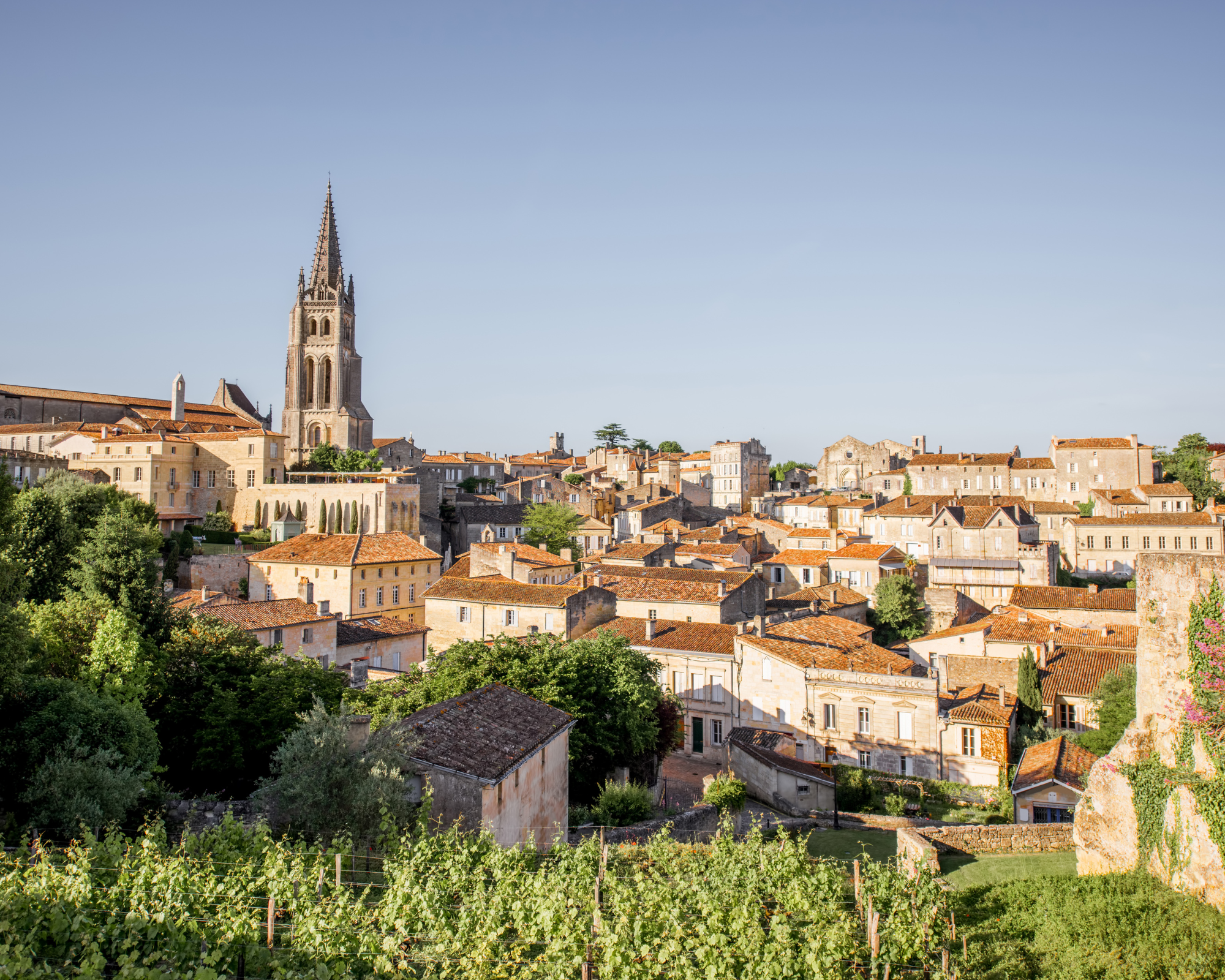 From Bordeaux: Saint-Émilion Half-Day Tour with Wine Tasting – Bordeaux, France