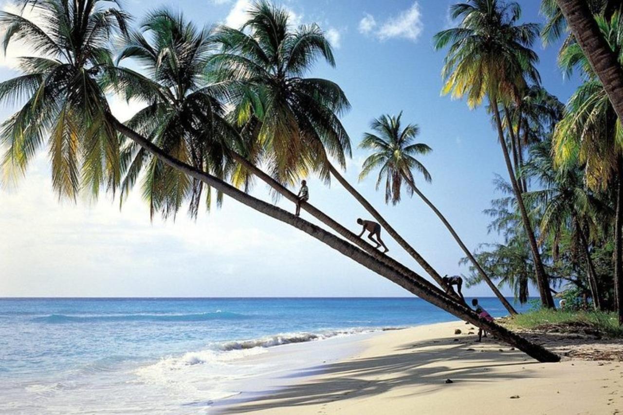 From Bridgetown: Barbados Coast To Coast Half-Day Tour – Barbados