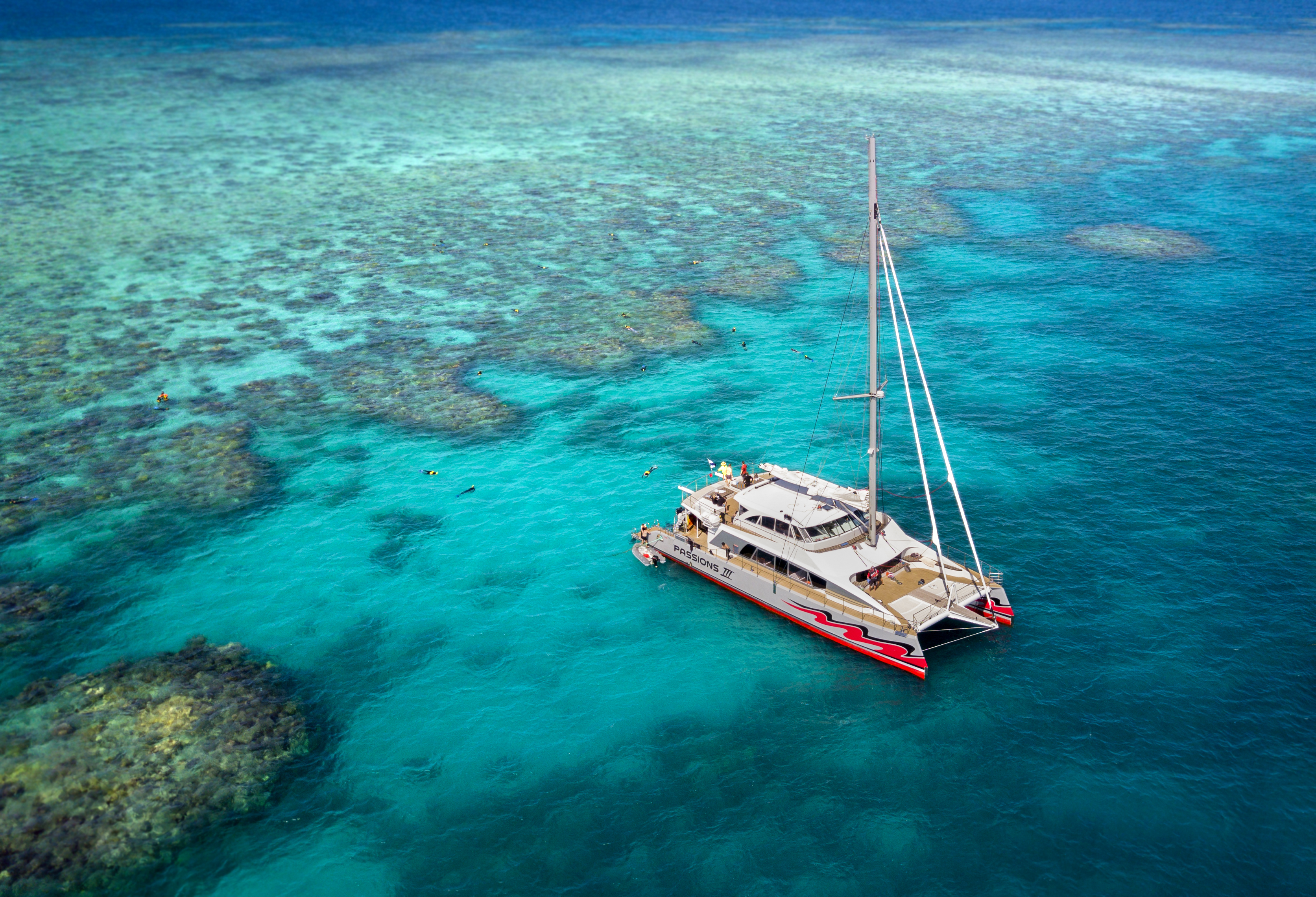 From Cairns: Great Barrier Reef Cruise by Premium Catamaran – Cairns, Australia