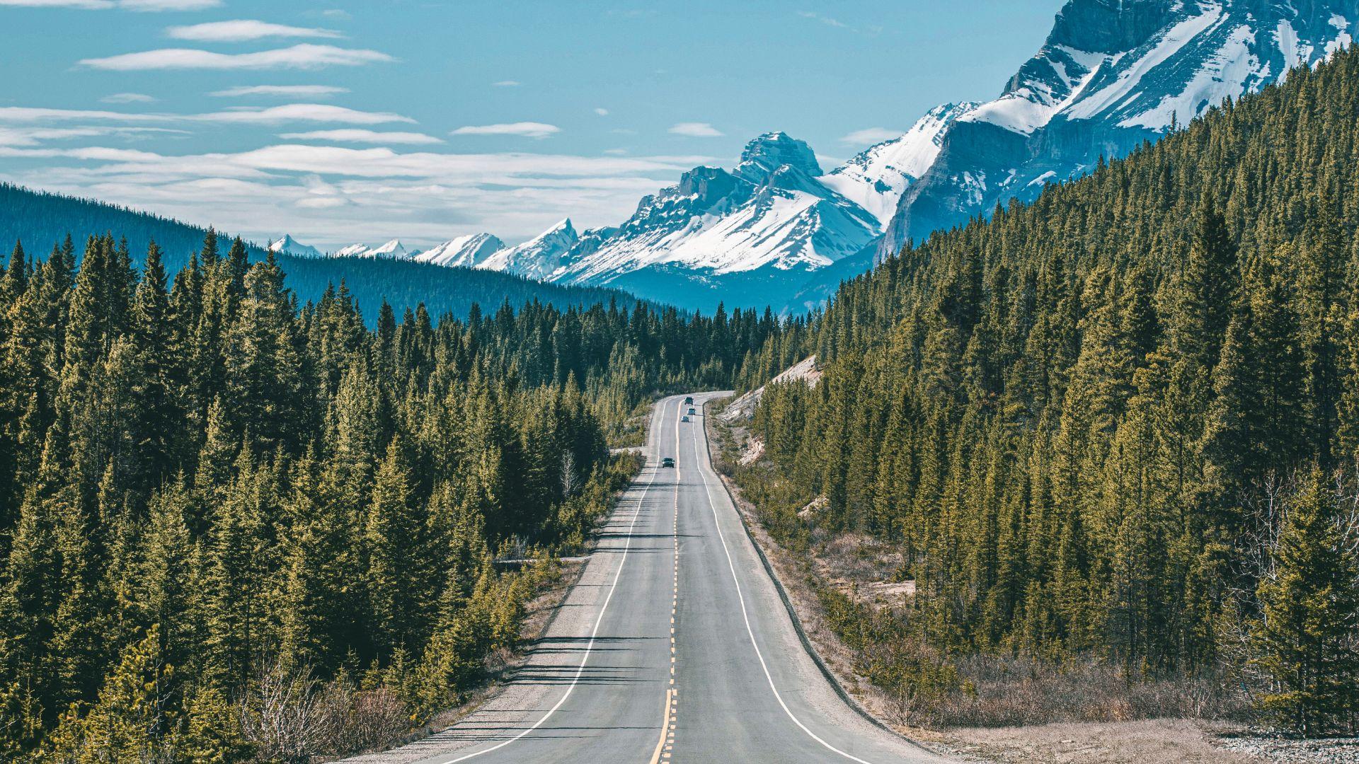 From Canmore/Banff: Icefields Parkway Experience – Athabasca Glacier, Canada