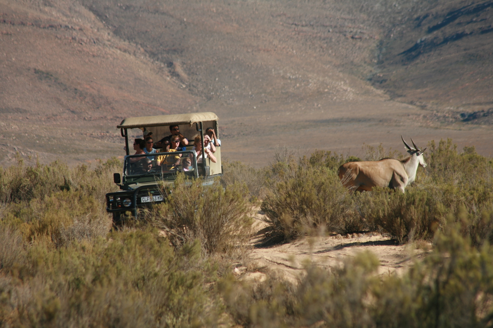 From Cape Town: Big Five Game Reserve with Lunch – Cape Town, South Africa