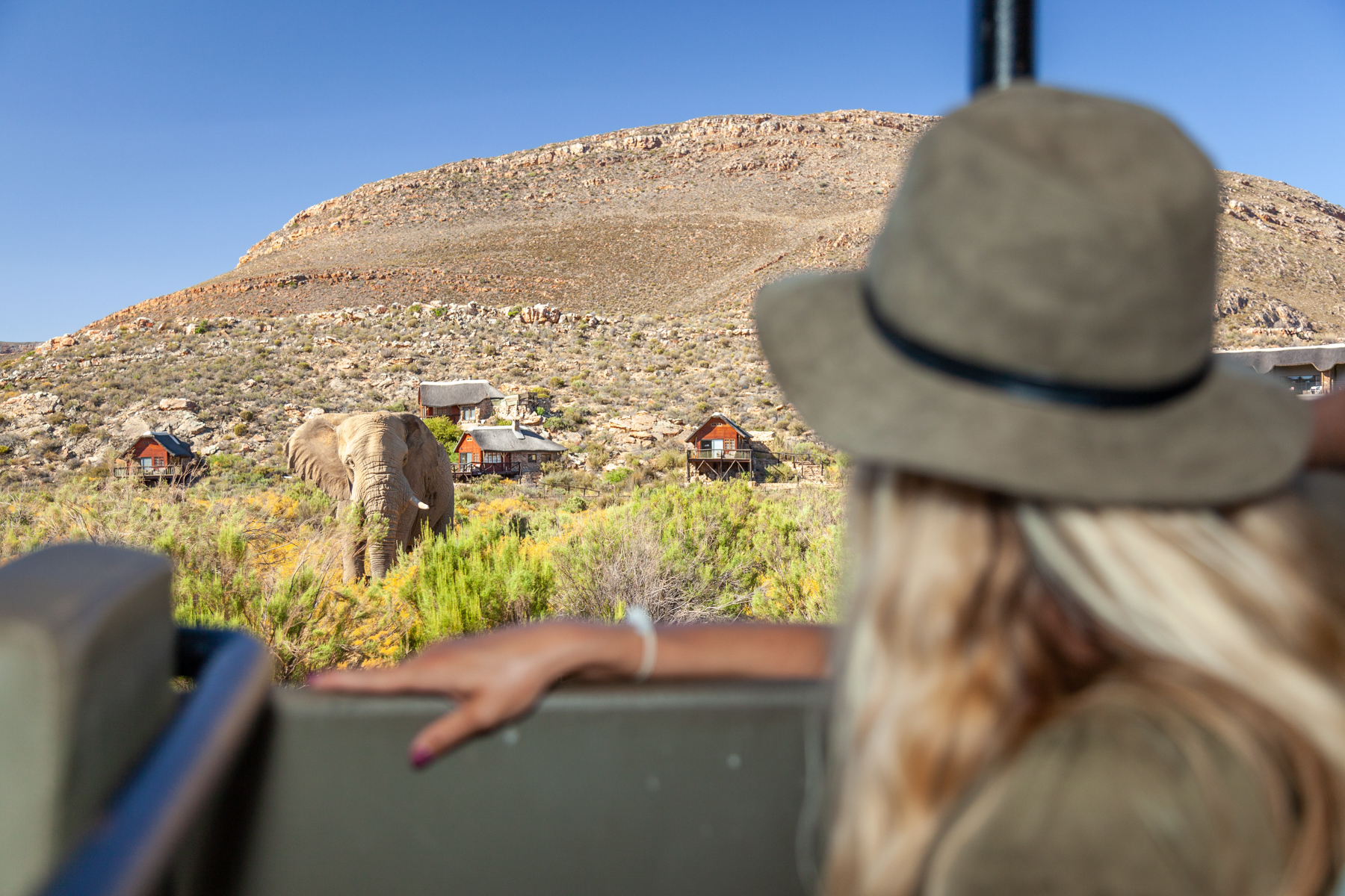 From Cape Town: Big Five Sunset Safari incl. Transportation – Cape Town, South Africa
