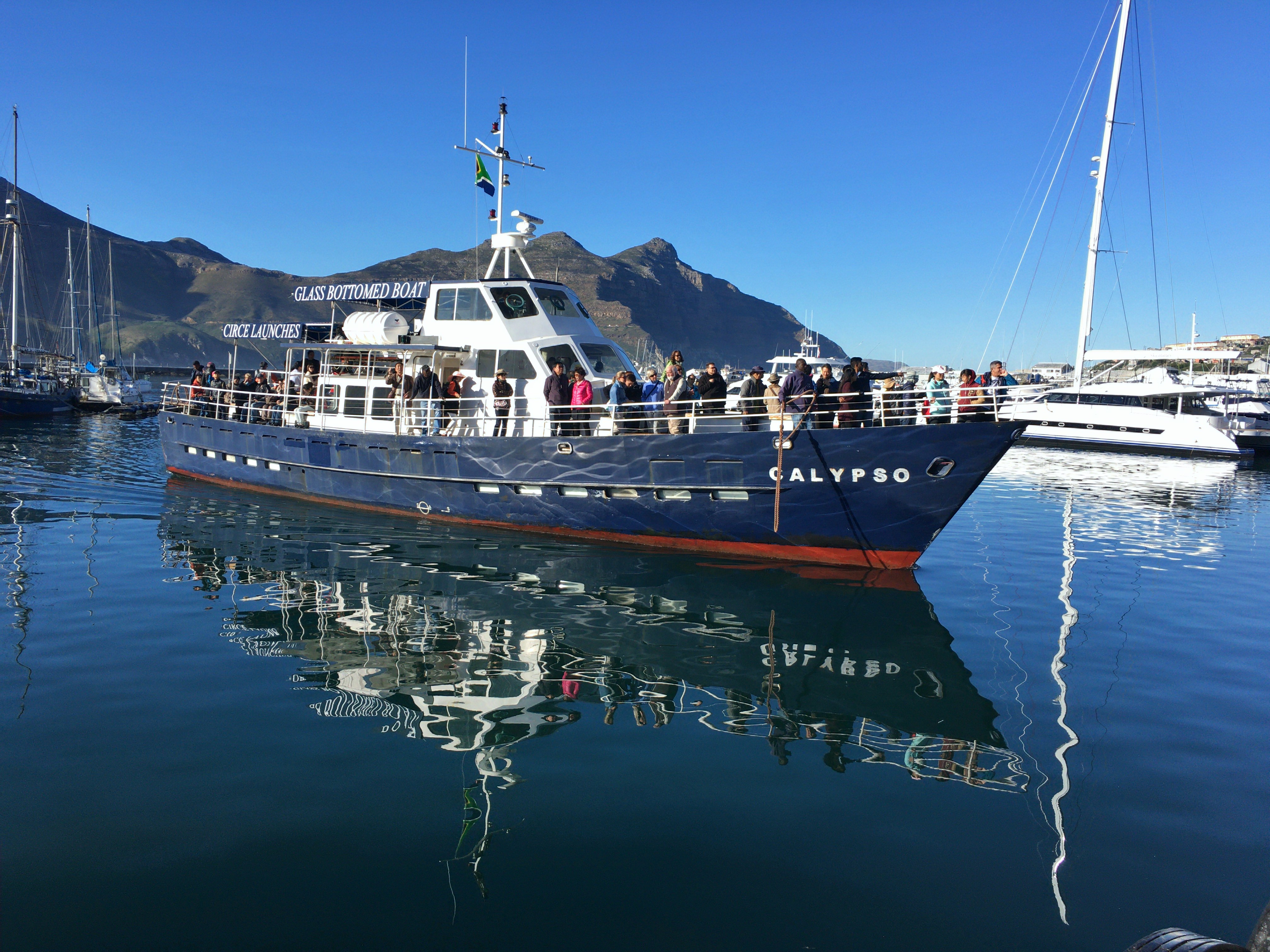 From Cape Town: Glass-Bottom Boat Seal Watching Tour – Cape Town, South Africa