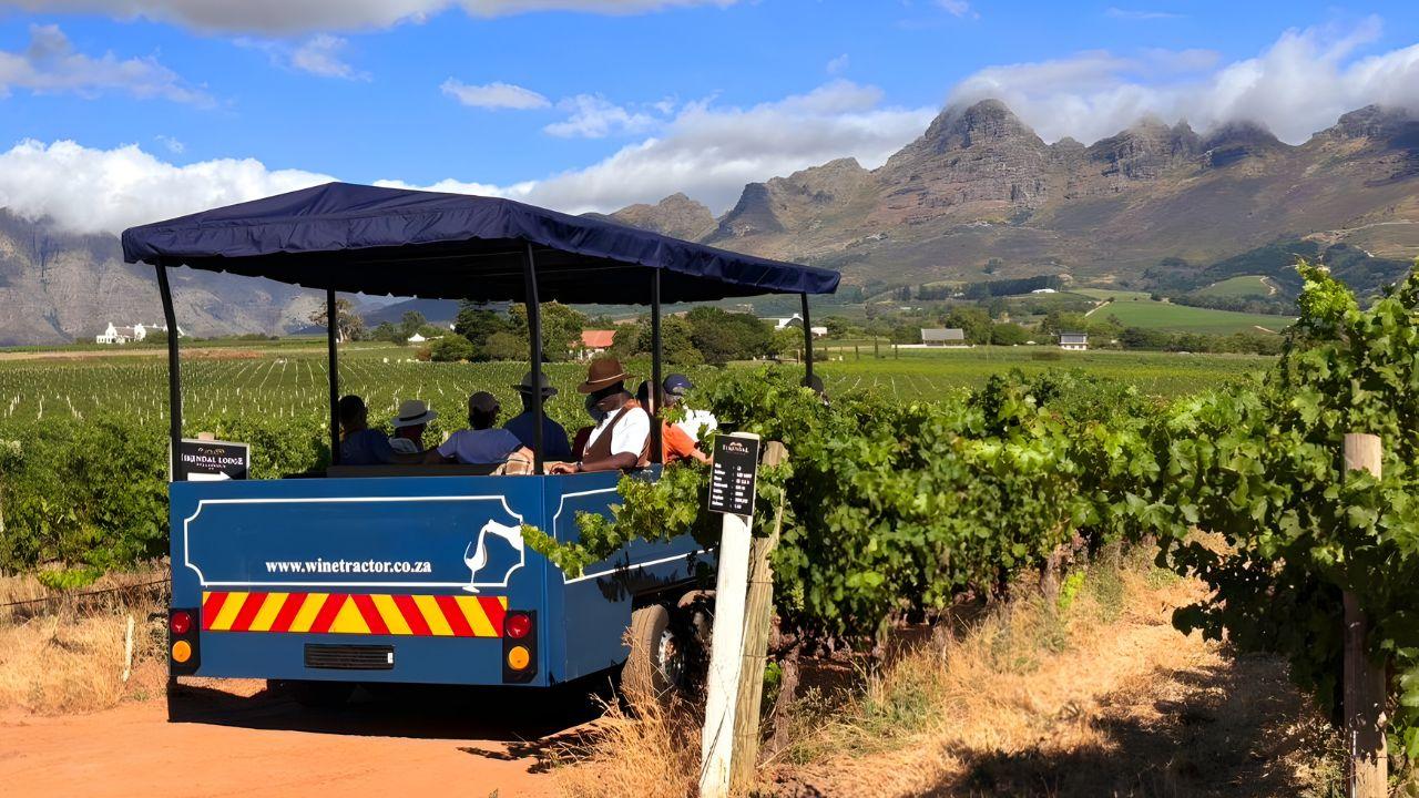 From Cape Town: Stellenbosch Wine Tractor with Live Guide – Cape Town, South Africa