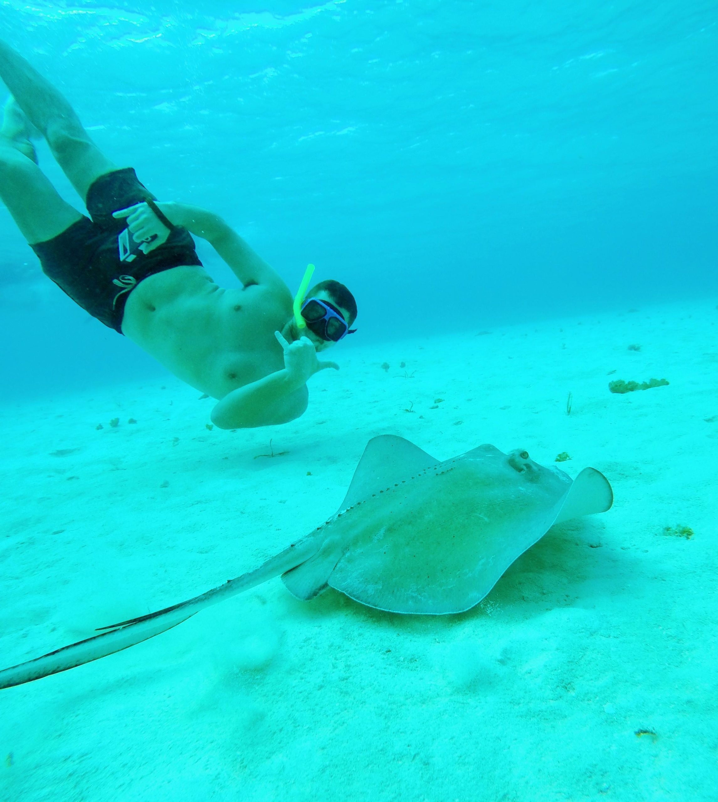 From Cozumel: Starfish, Stingrays and the Turtle Sanctuary – Cozumel, Mexico