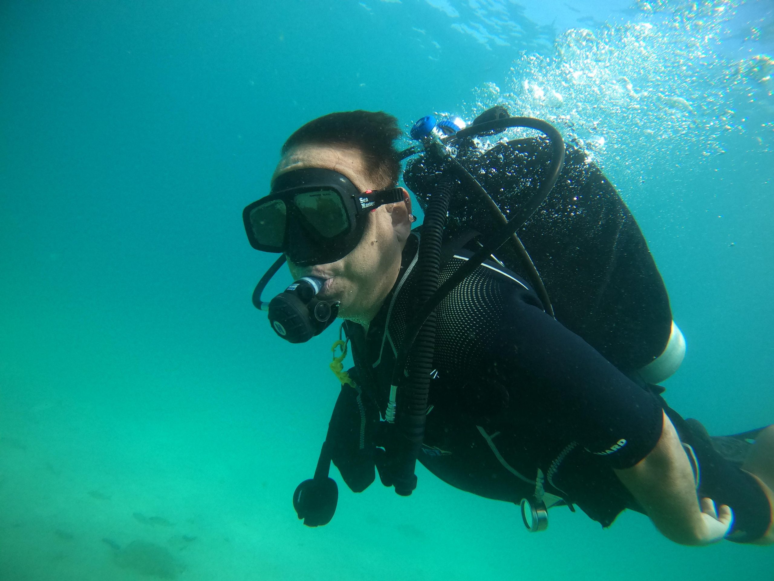 From Dubai: 3 dives in Fujairah with BBQ Dinner & Transfer – Reef Oasis Dive Club, United Arab Emirates