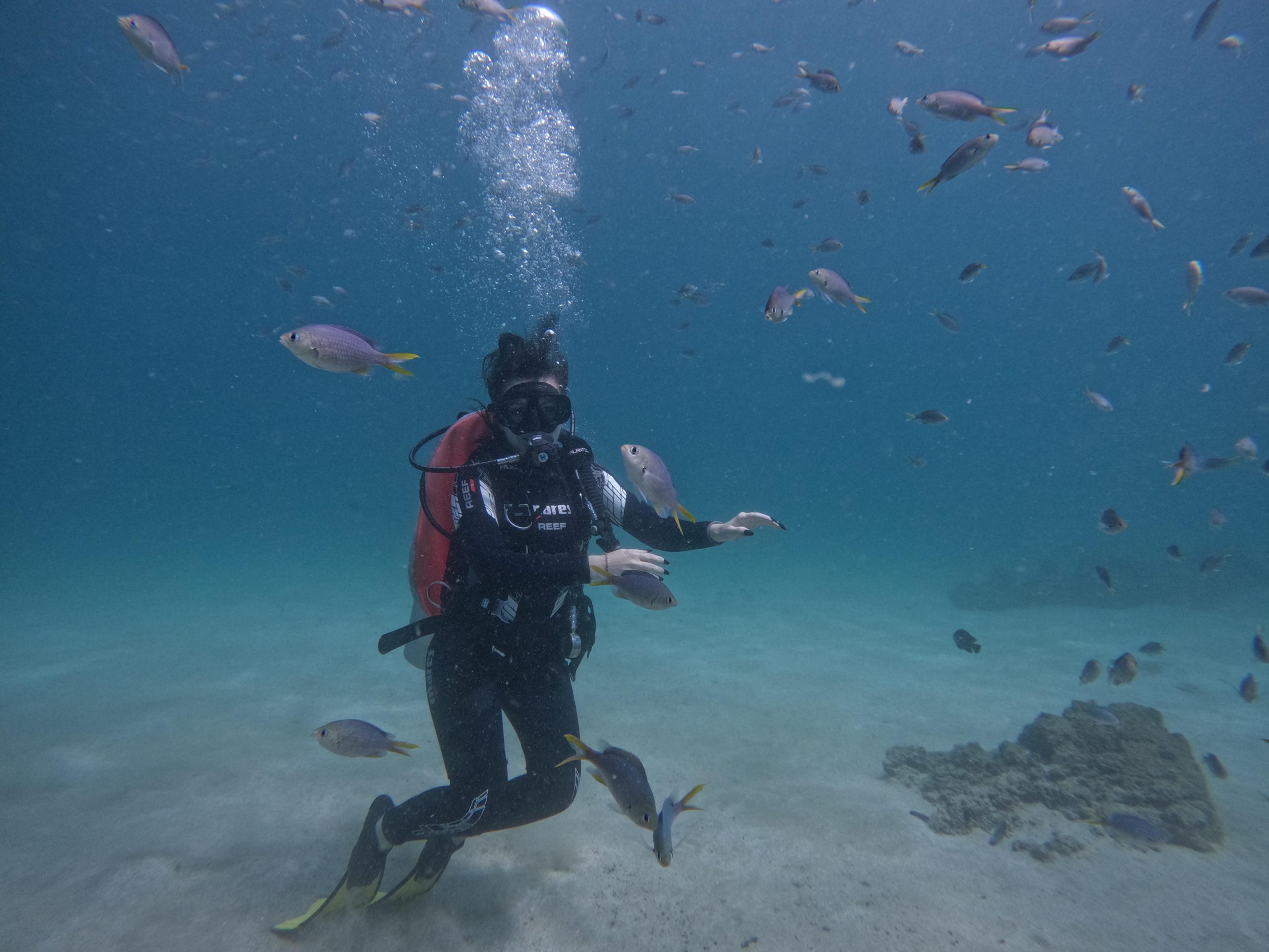 From Dubai: Try Scuba Diving, Snorkeling with BBQ & Transfer – Reef Oasis Dive Club, United Arab Emirates