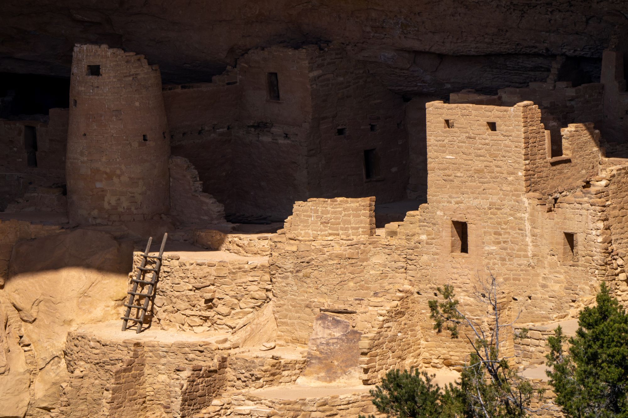 From Durango: Mesa Verde Express Tour W/ Cliff Palace Ticket – Farmington, New Mexico