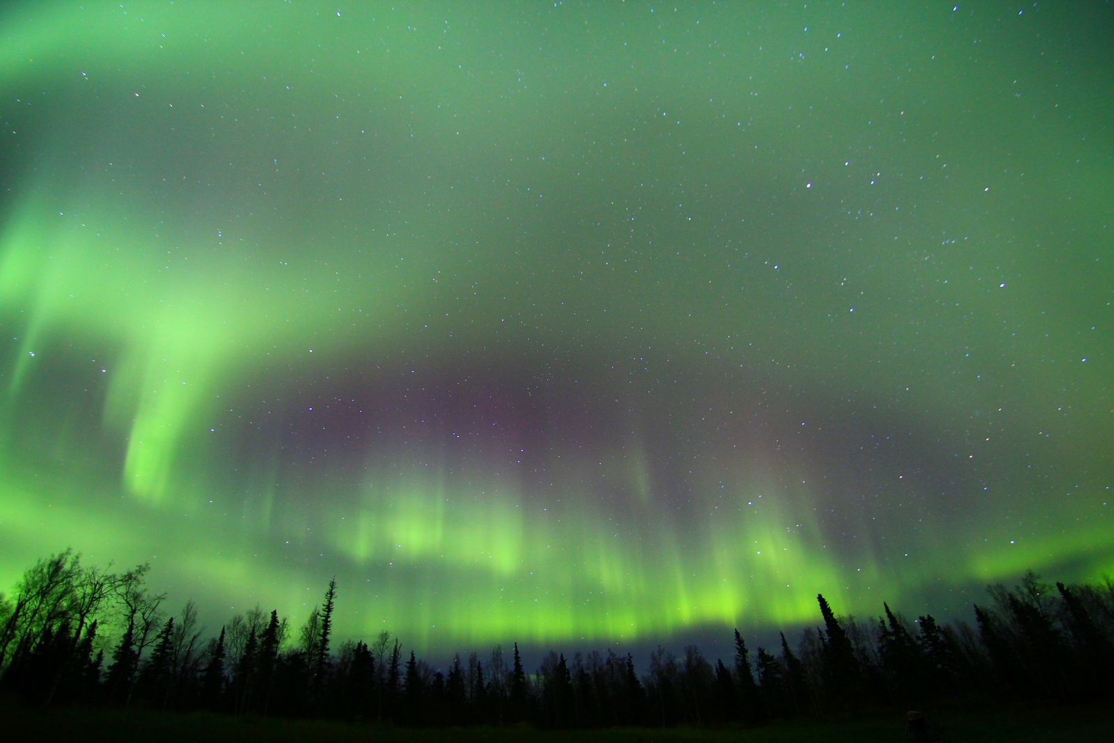 From Fairbanks: Northern Lights & Murphy Dome Tour – Fairbanks, Alaska