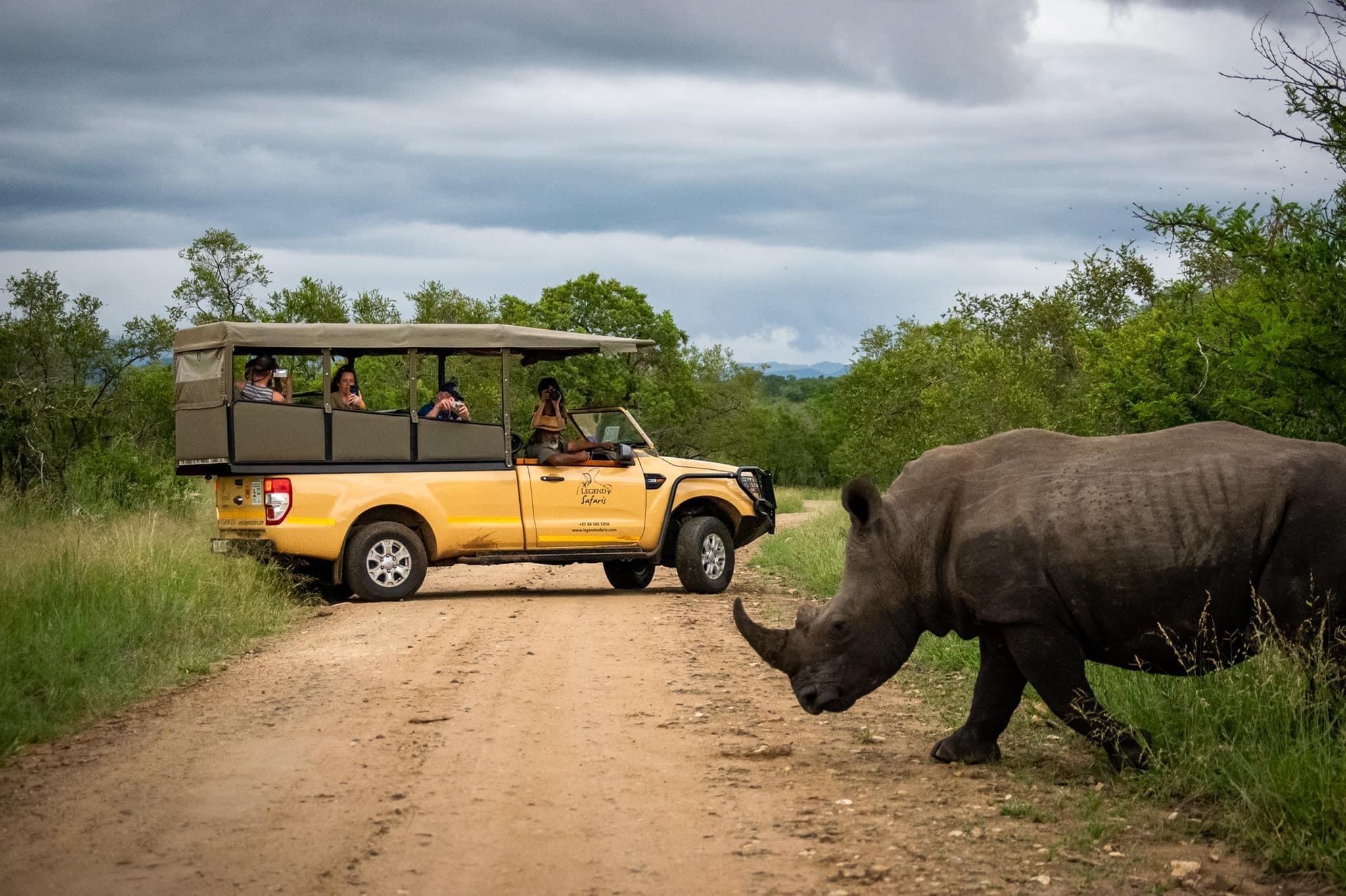 From Hazyview: Kruger National Park Morning Half-Day Safari – Kruger National Park, South Africa