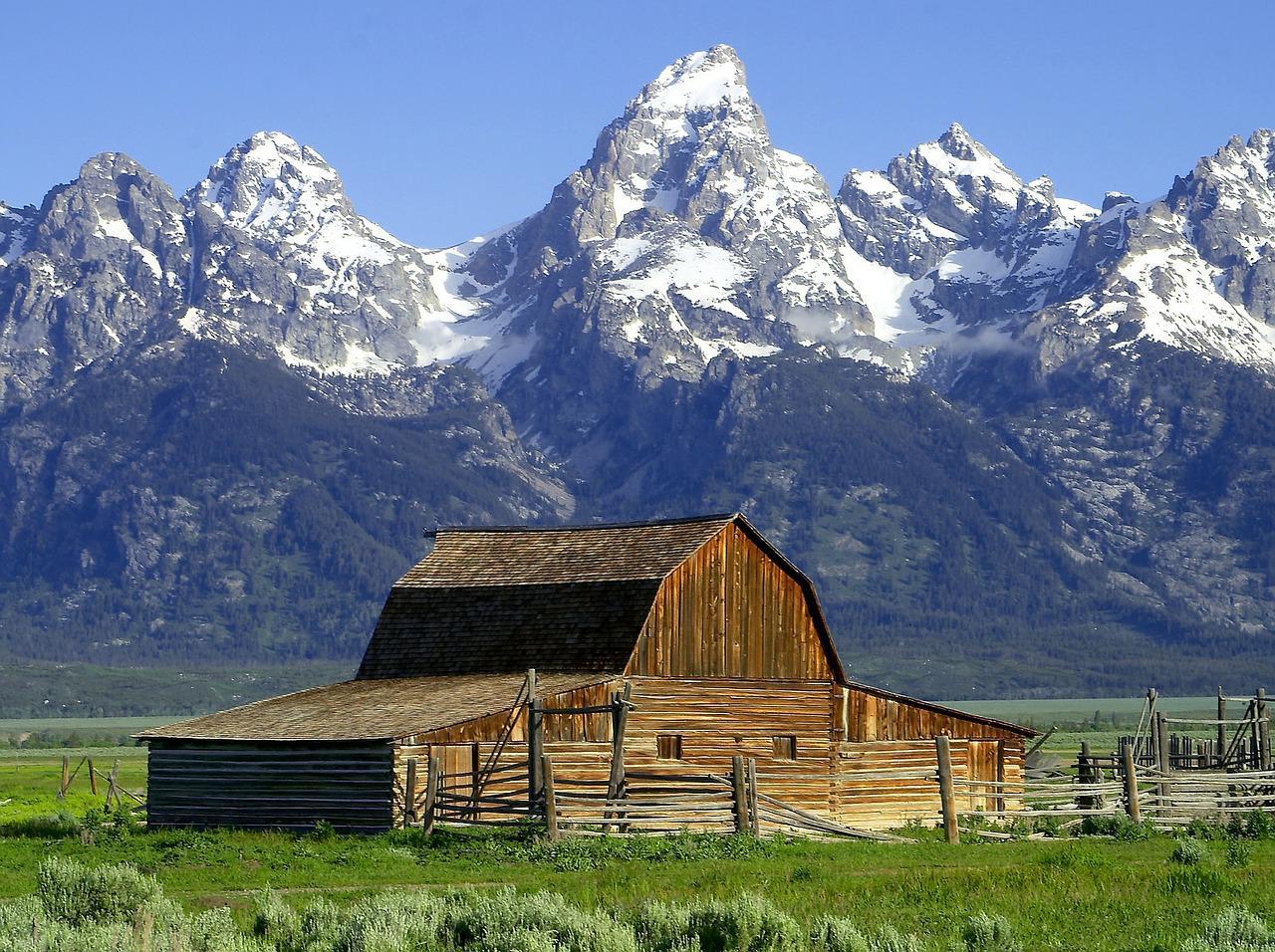 From Jackson: Half-Day Grand Teton National Park Tour – Moose Wilson Road, Wyoming