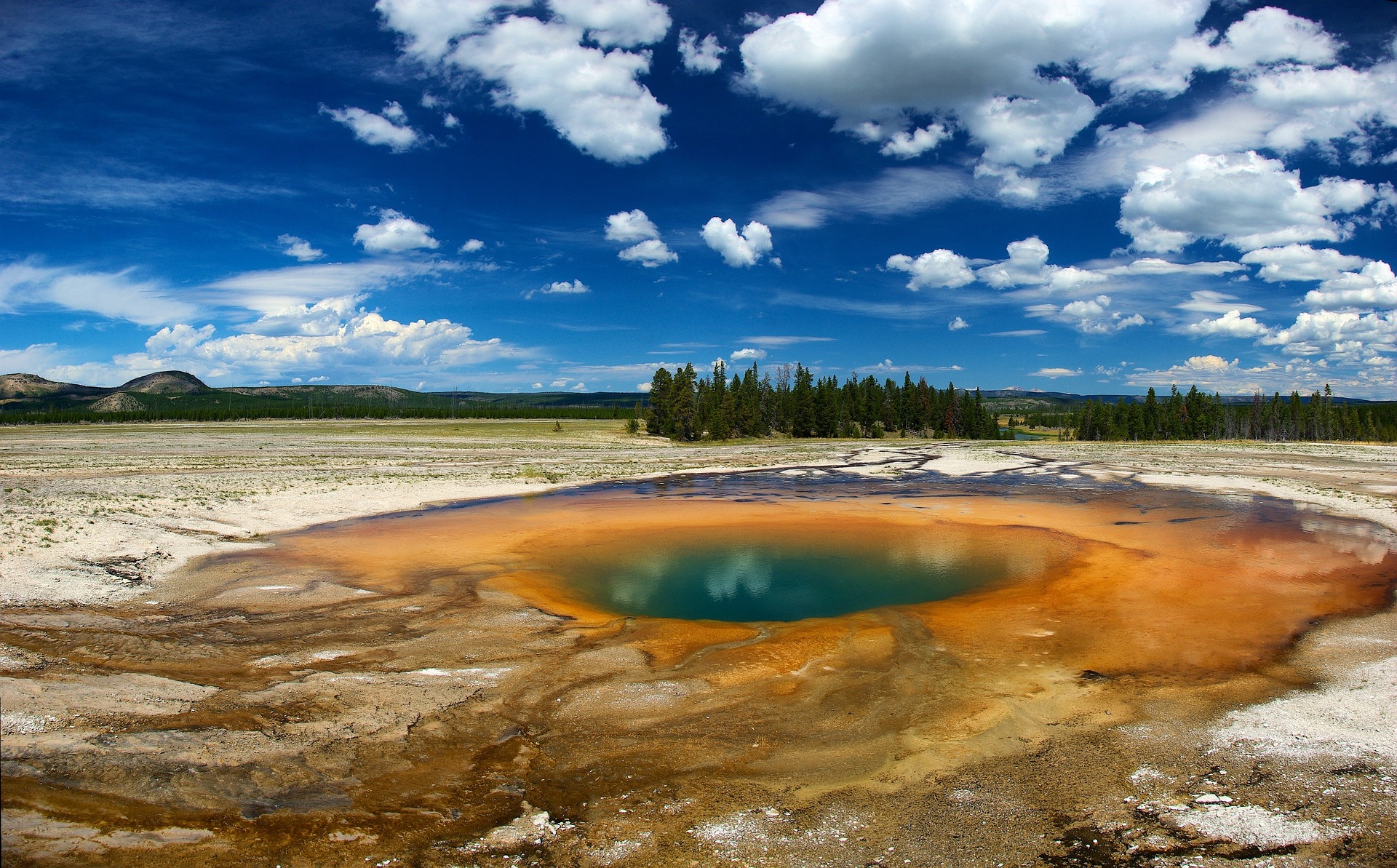 From Jackson: Yellowstone National Park Day Trip with Lunch – Hayden Valley, Wyoming