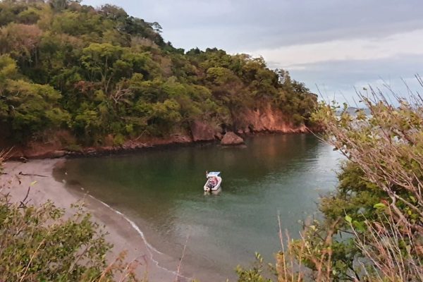 From Jaco: Bioluminiscence Boat Tour with BBQ & Drinks – Jaco, Costa Rica