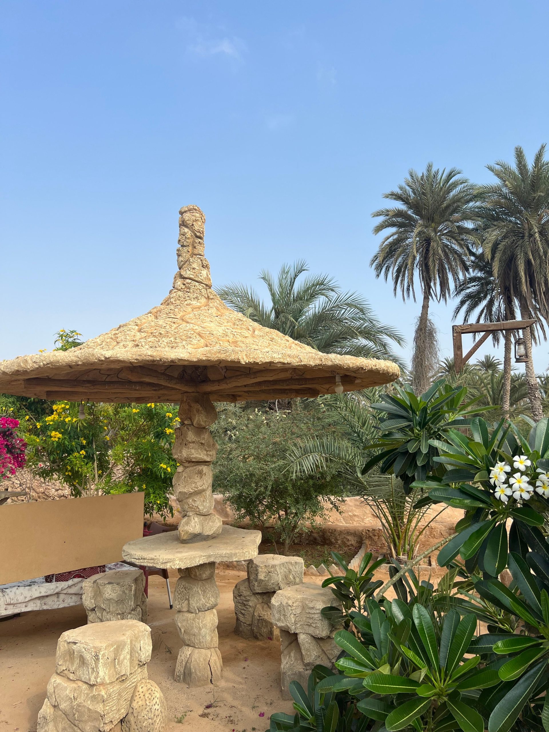 From Jazan: Farasan Island 2-Day Trip with Accommodation – Saudi Arabia