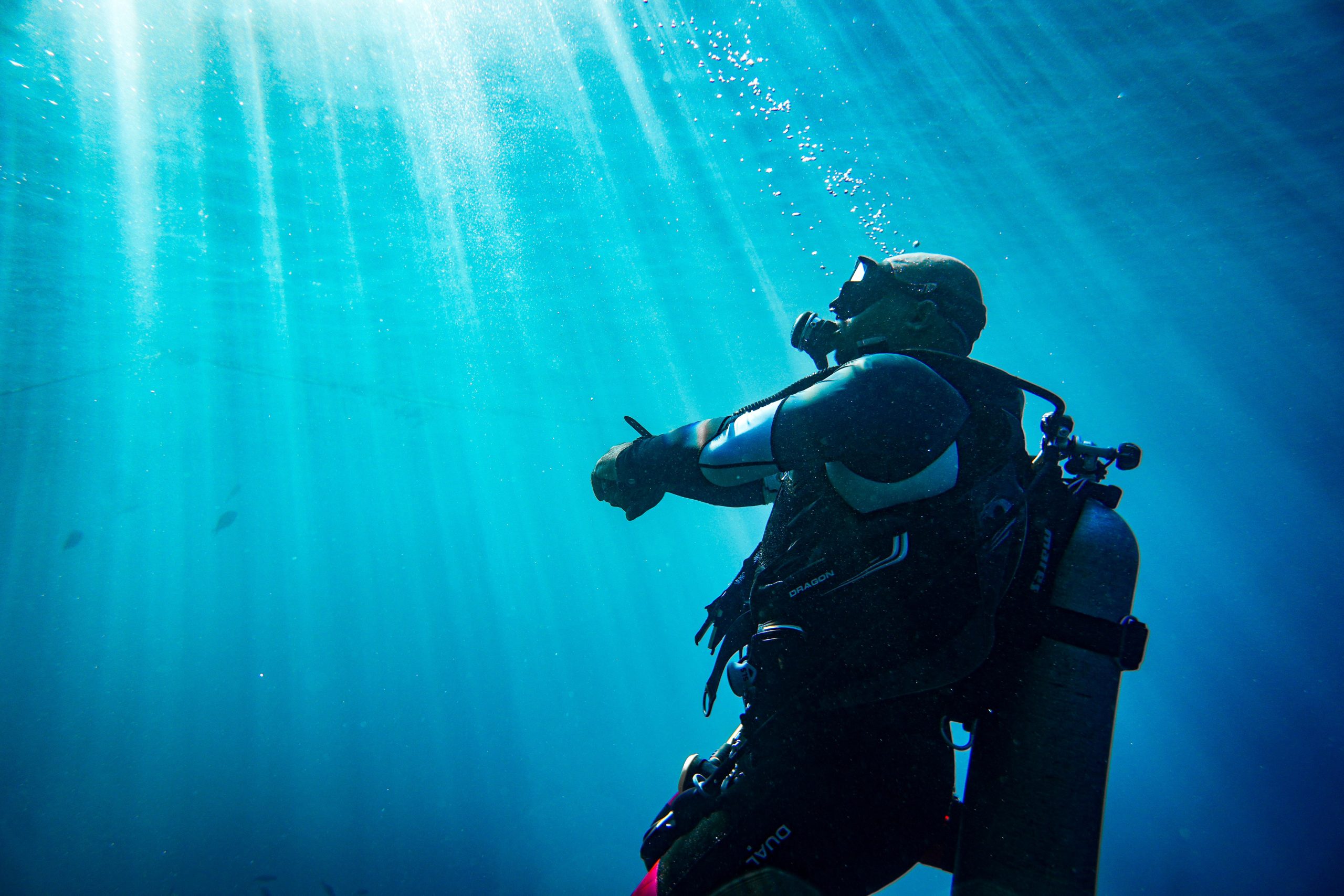 From Jeddah: Boat Trip and Diving for Certified Divers – Saudi Arabia