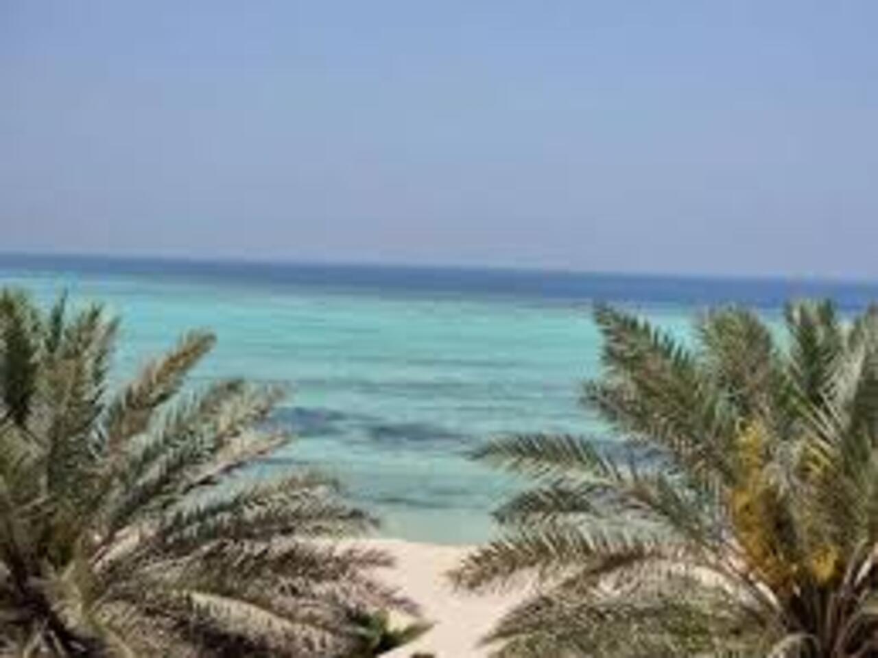 From Jeddah: King Abdullah Economic City Day Trip – Saudi Arabia