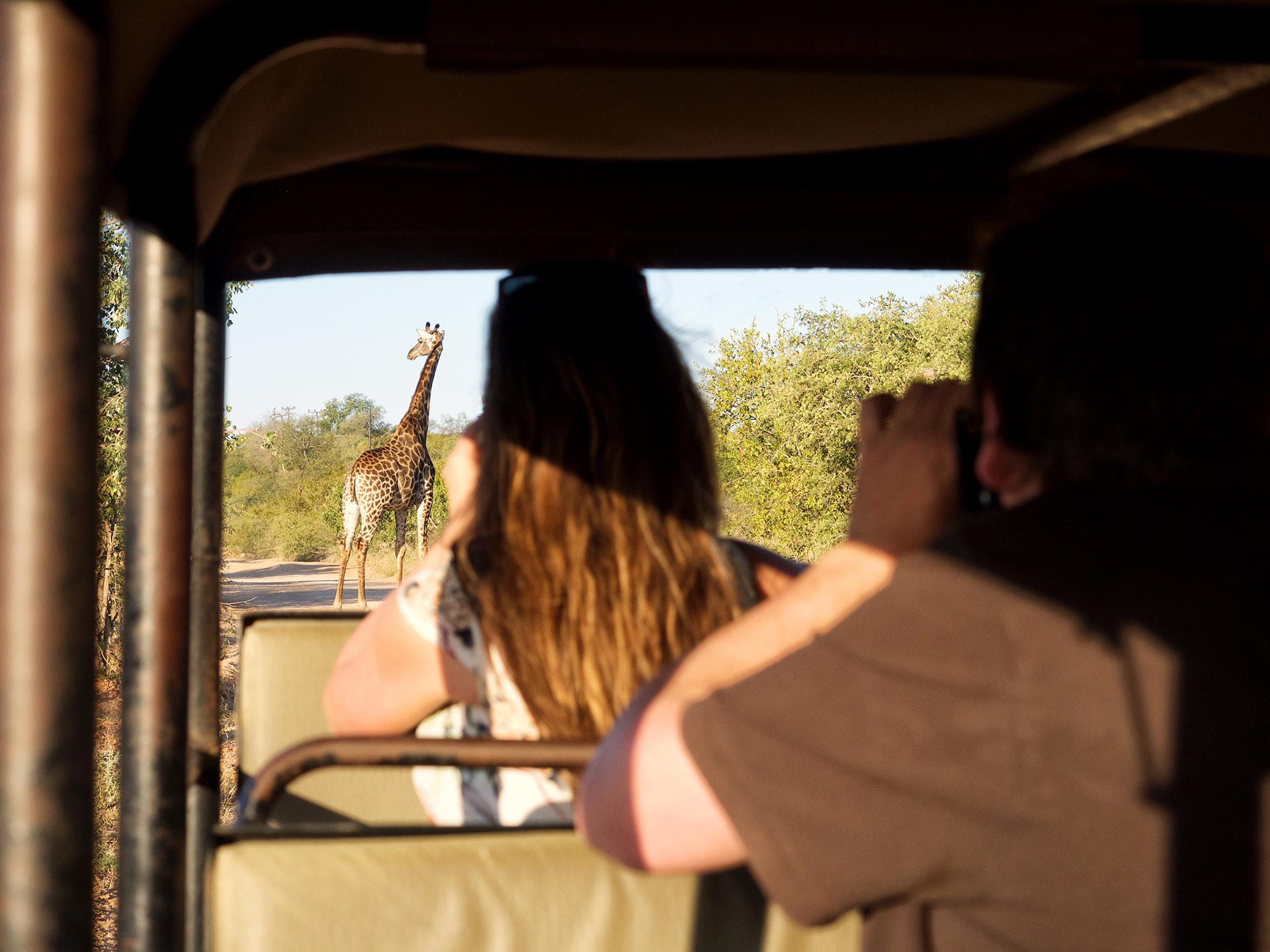 From Johannesburg: 3-Day Budget Tent Kruger Park Safari – Johannesburg, South Africa
