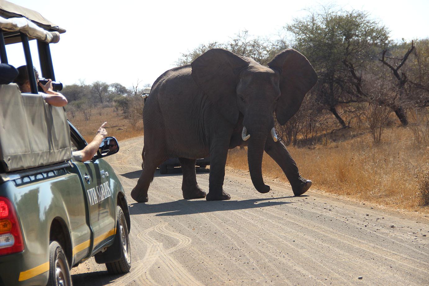 From Johannesburg: 6-Day Classic Kruger National Park Safari – Johannesburg, South Africa