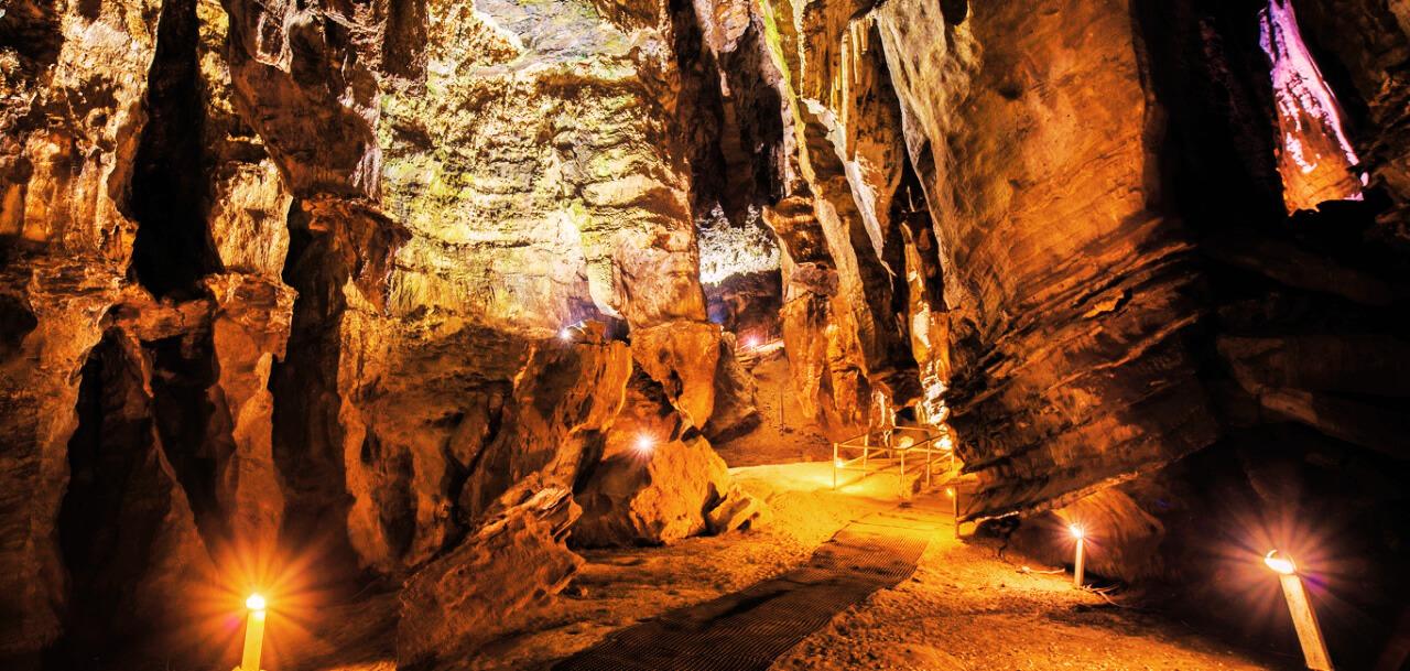 From Johannesburg: Cradle of Humankind Tour – Johannesburg, South Africa