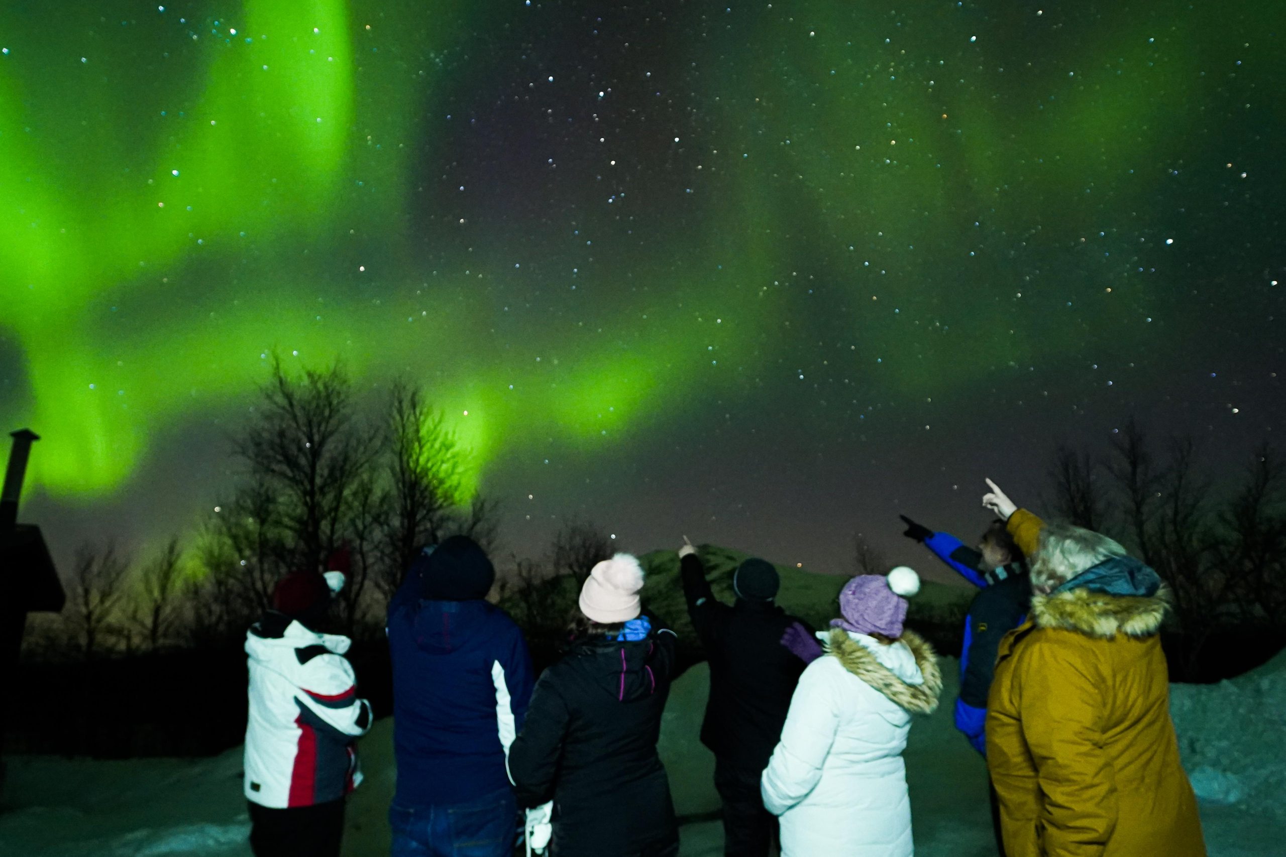 From Kiruna: Abisko National Park Northern Lights Tour – Abisko National Park, Sweden